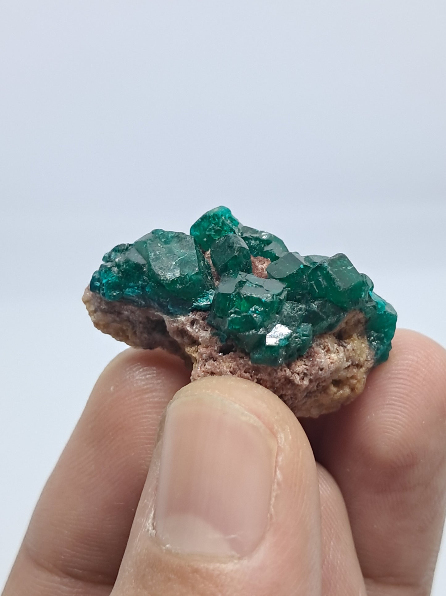 Dioptase (Democratic Republic of Congo) Natural Cluster | Rough Crystal | Mineral Specimen #DPT9
