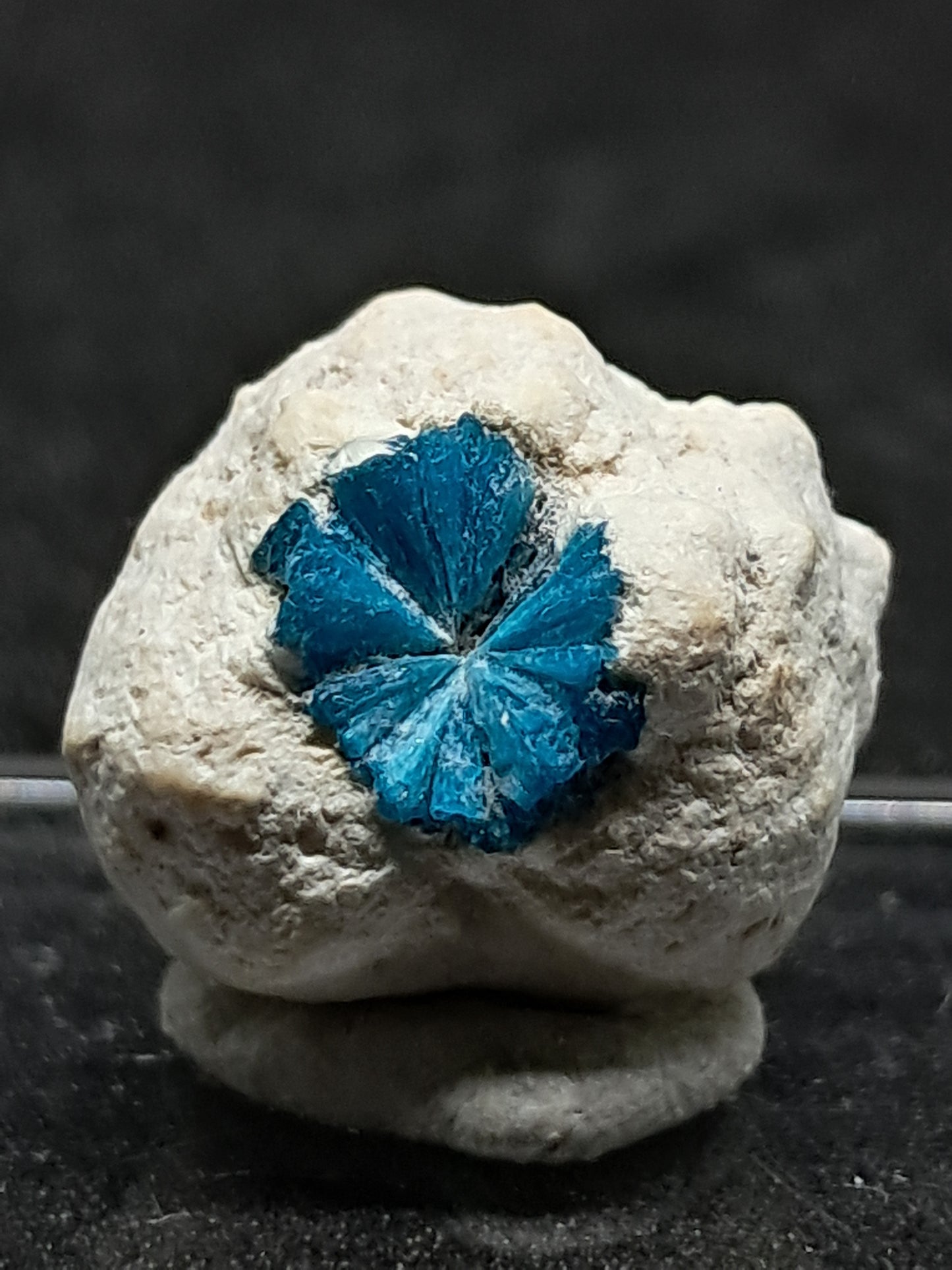 Floater Cavansite in Small Okenite Ball #CV21
