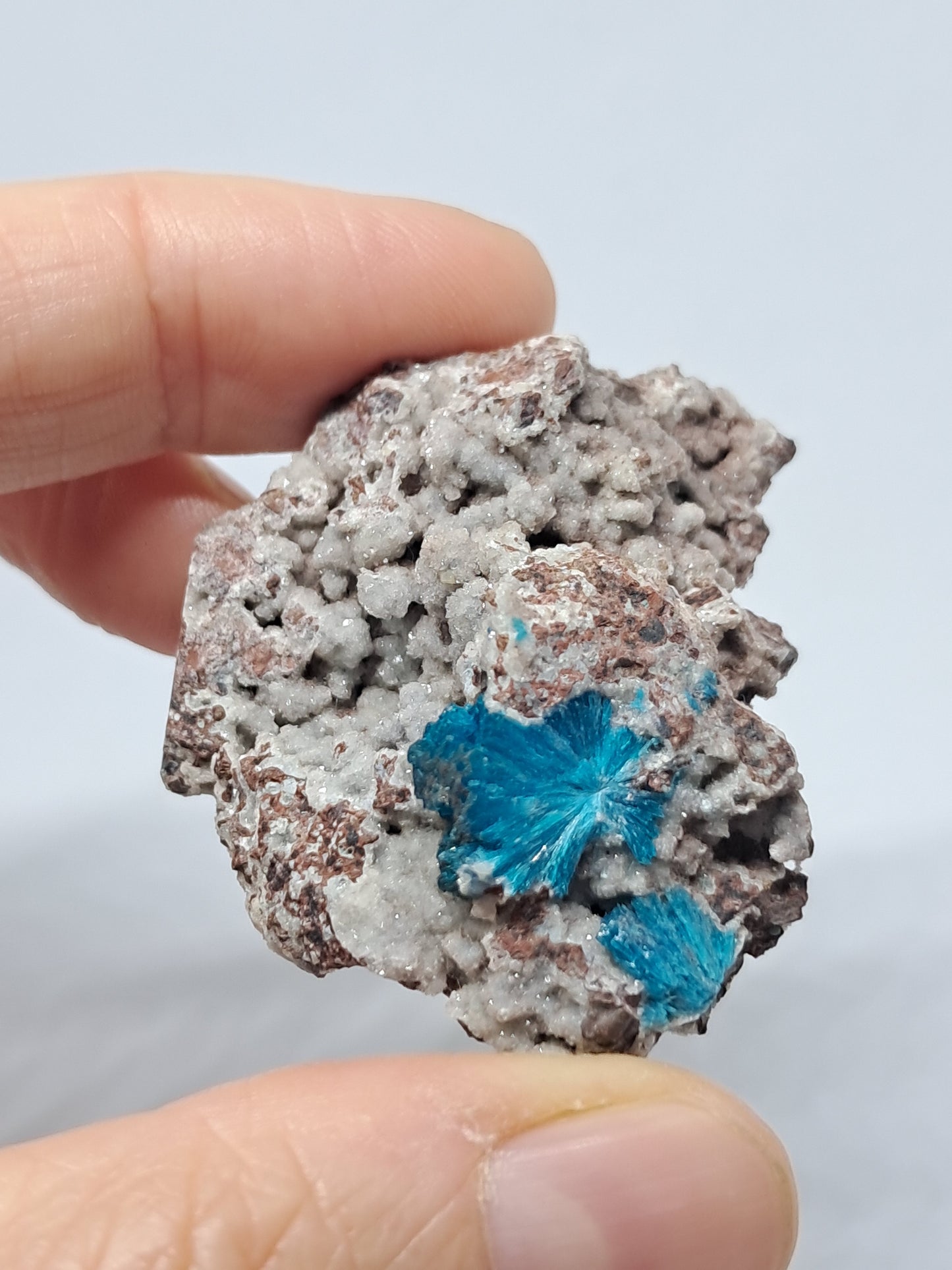 Cavansite on Heulandite Matrix (Wagholi) Rough Stone | Natural Crystal | Rare Mineral Specimen #CV11