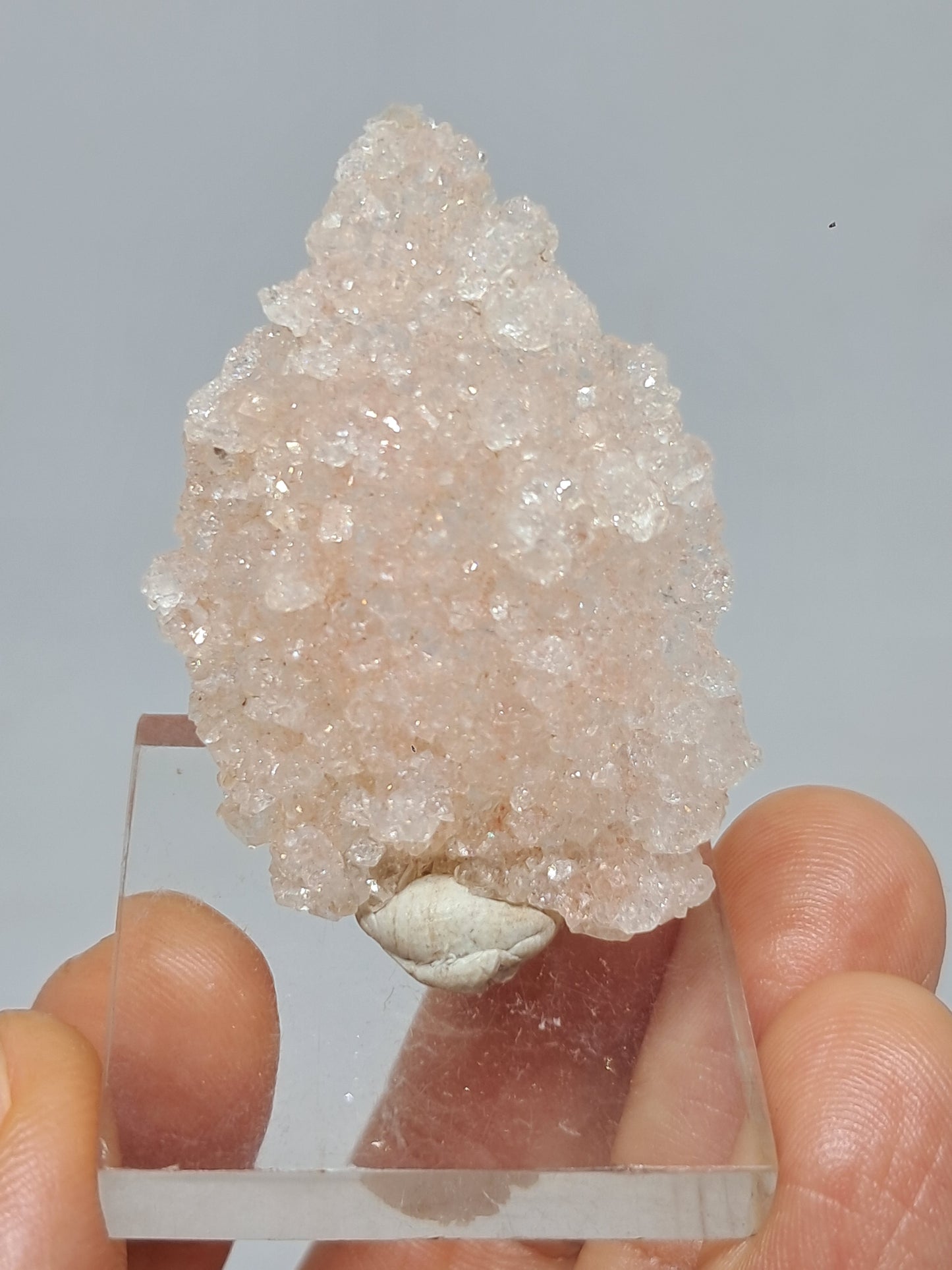 Pink Apophyllite On Quartz Floater Cluster (Ajanta) Natural Crystal | Mineral Specimen #APP1