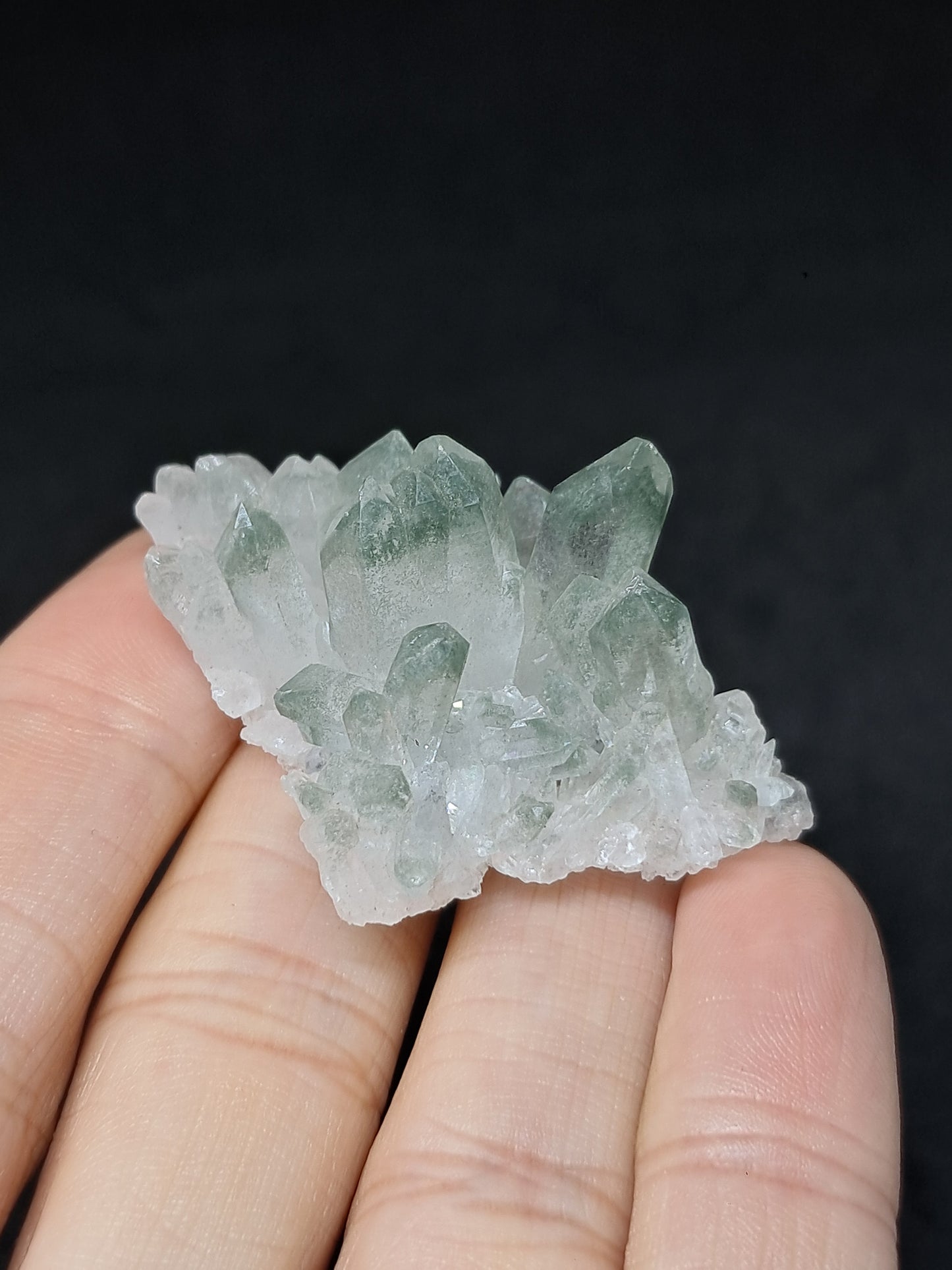 Chlorite Phantom Cluster (Kullu) Natural Crystal | Garden Chamanic Quartz #CQ76