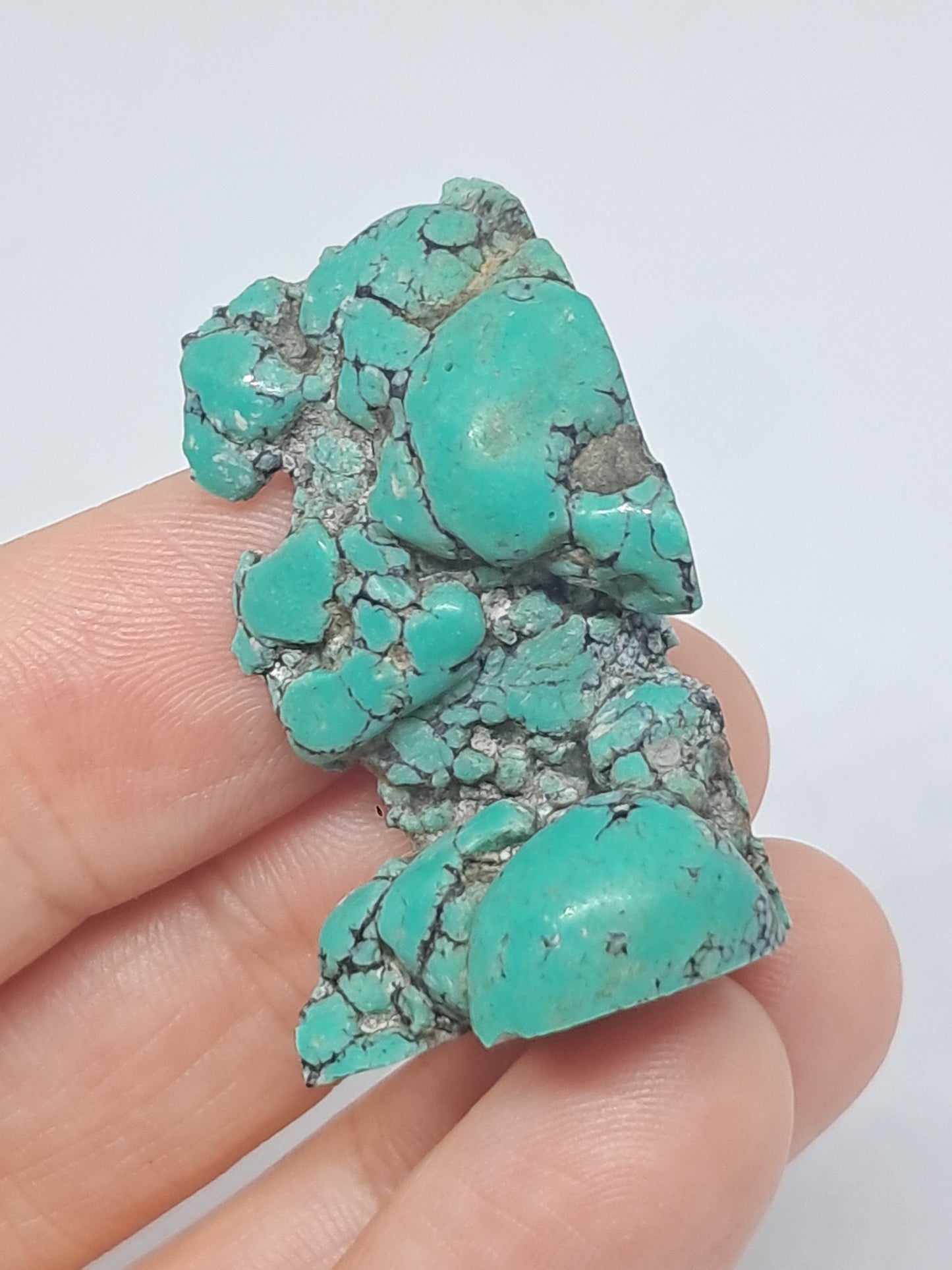 Tibetan Turquoise Stabilized Natural Stone | Mineral Specimen #TT9