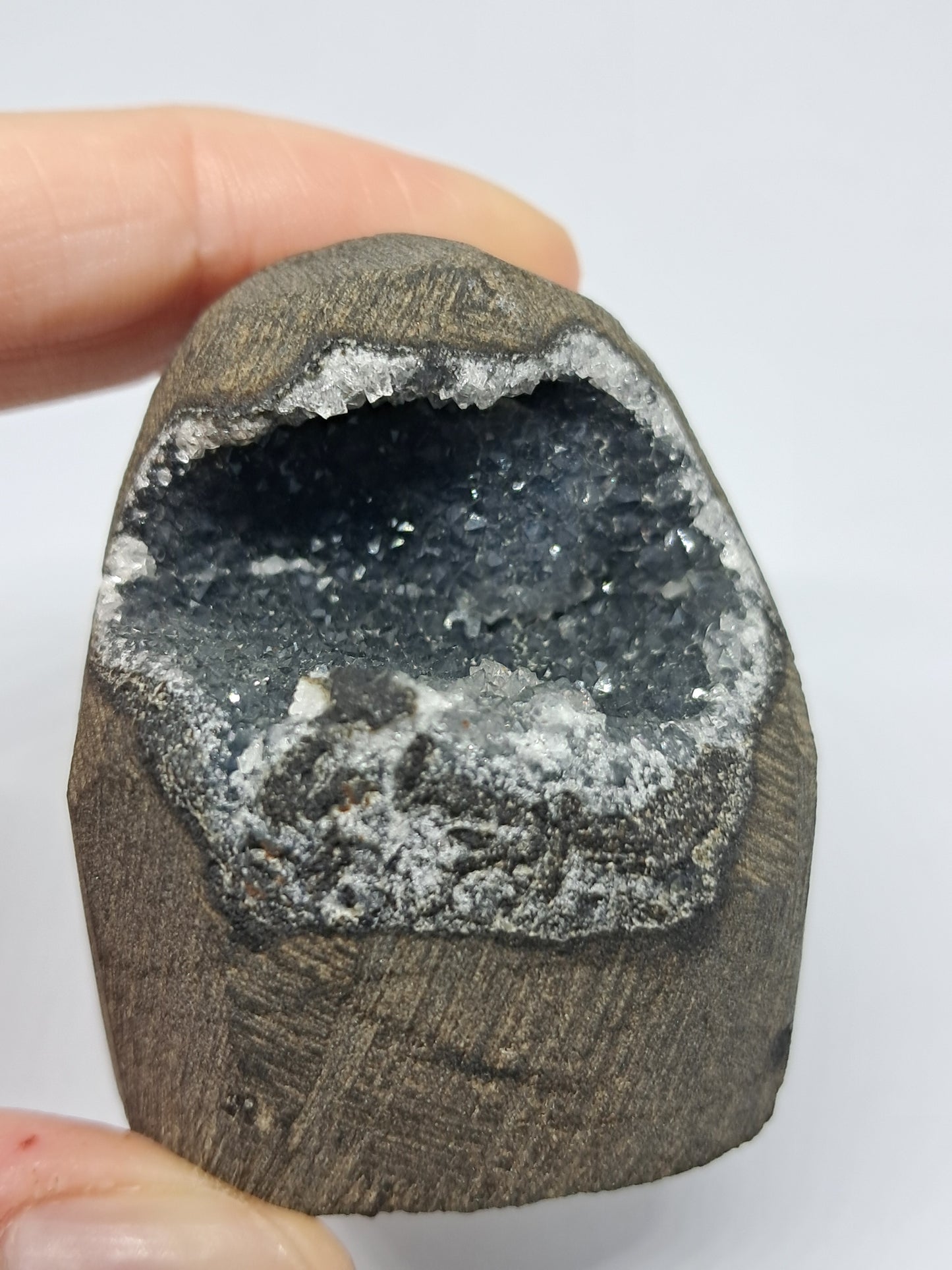Black Chalcedony in Basalt Geode (Non-precious mineral) #BC7