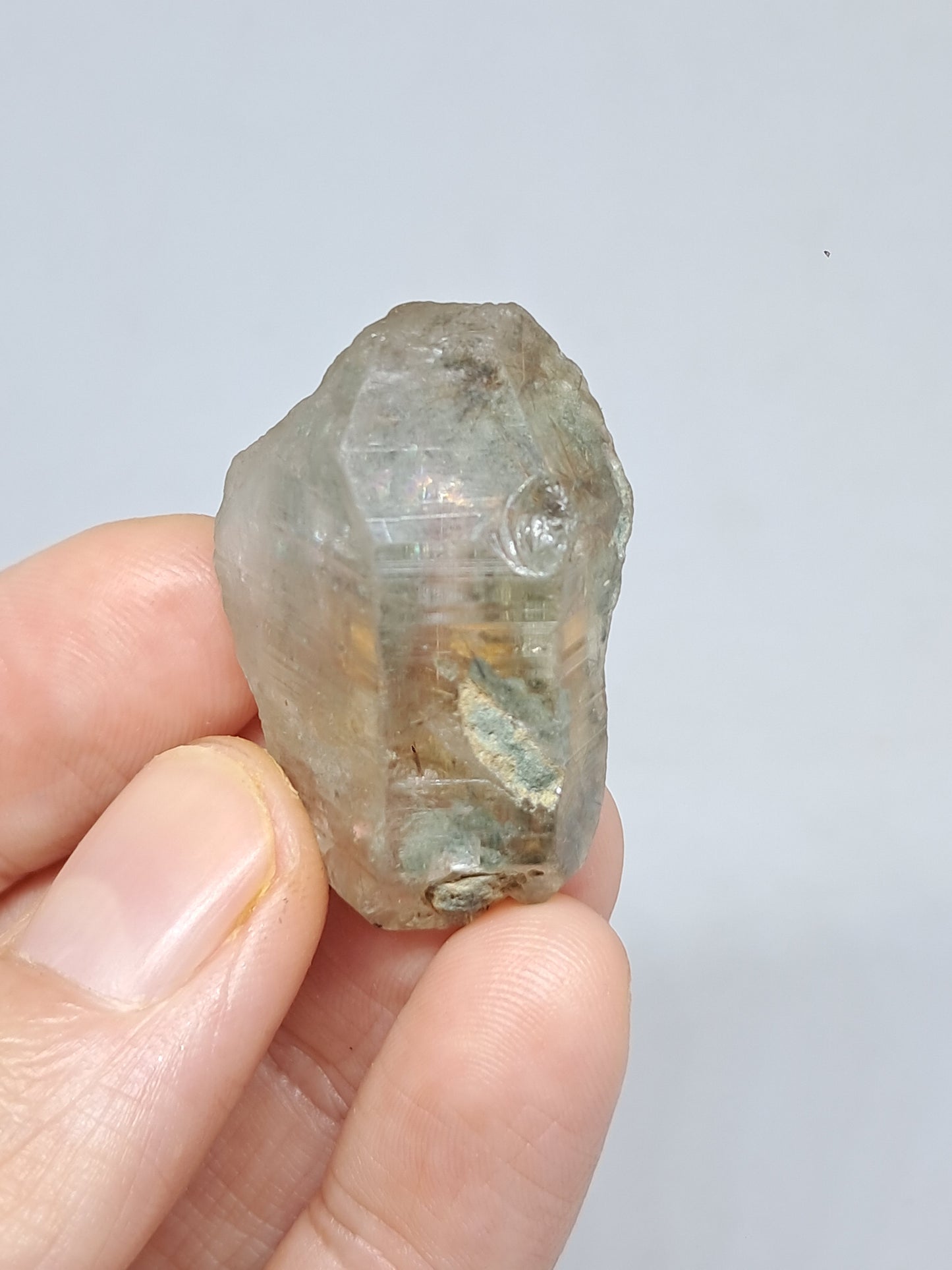 Quartz w/ Chlorite and Golden Rutile Inclusions (Kullu) Rough Stone | Natural Crystal Point | Mineral Specimen #CH44