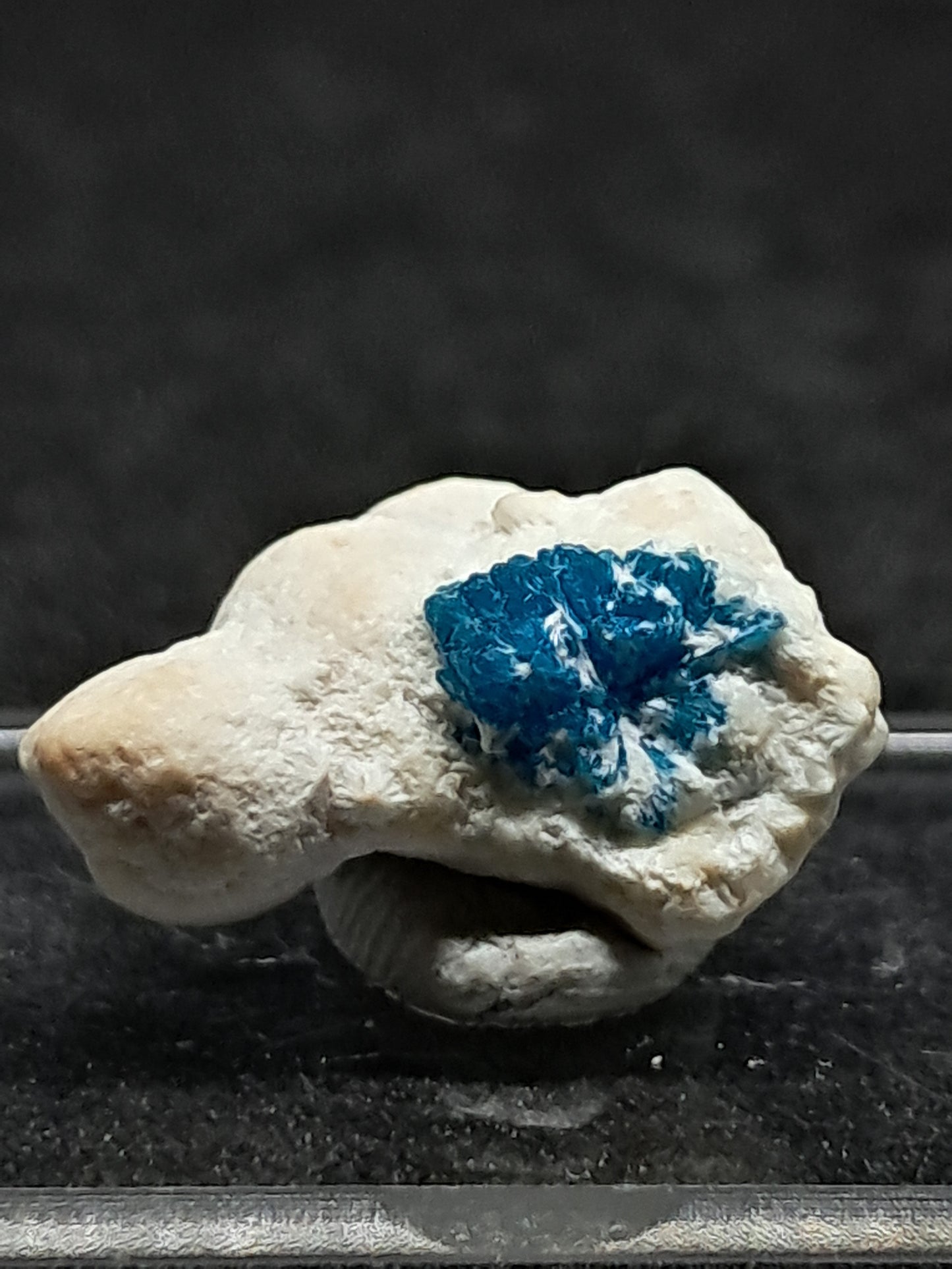 Floater Cavansite in Okenite Ball (Pune) Rough Stone | Natural Crystal | Rare Mineral Specimen #CV23