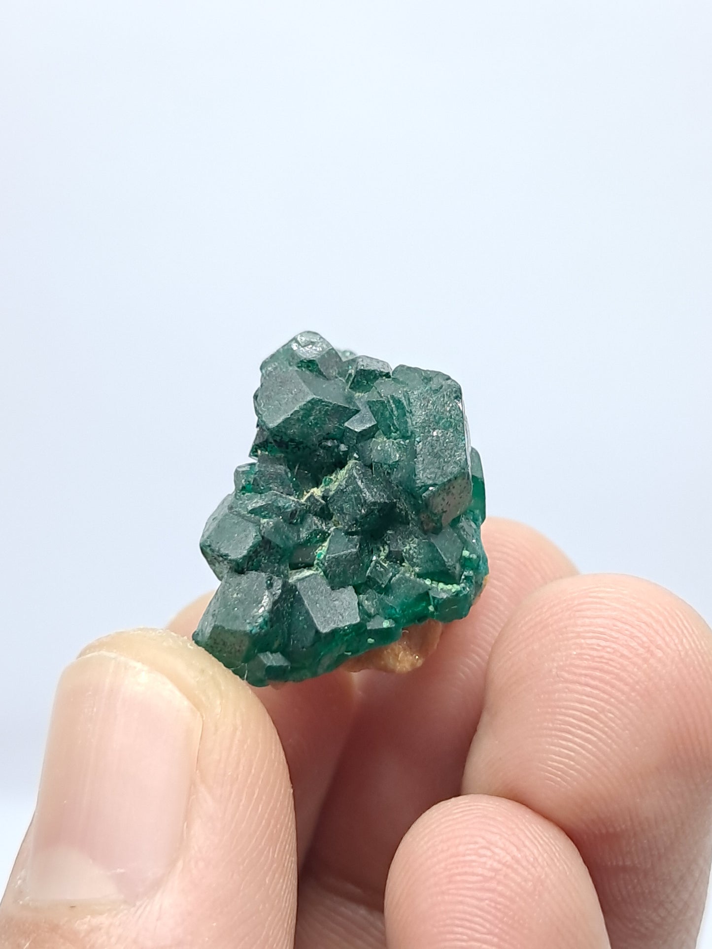 Dioptase (Non-precious Natural Stone) #DPT4