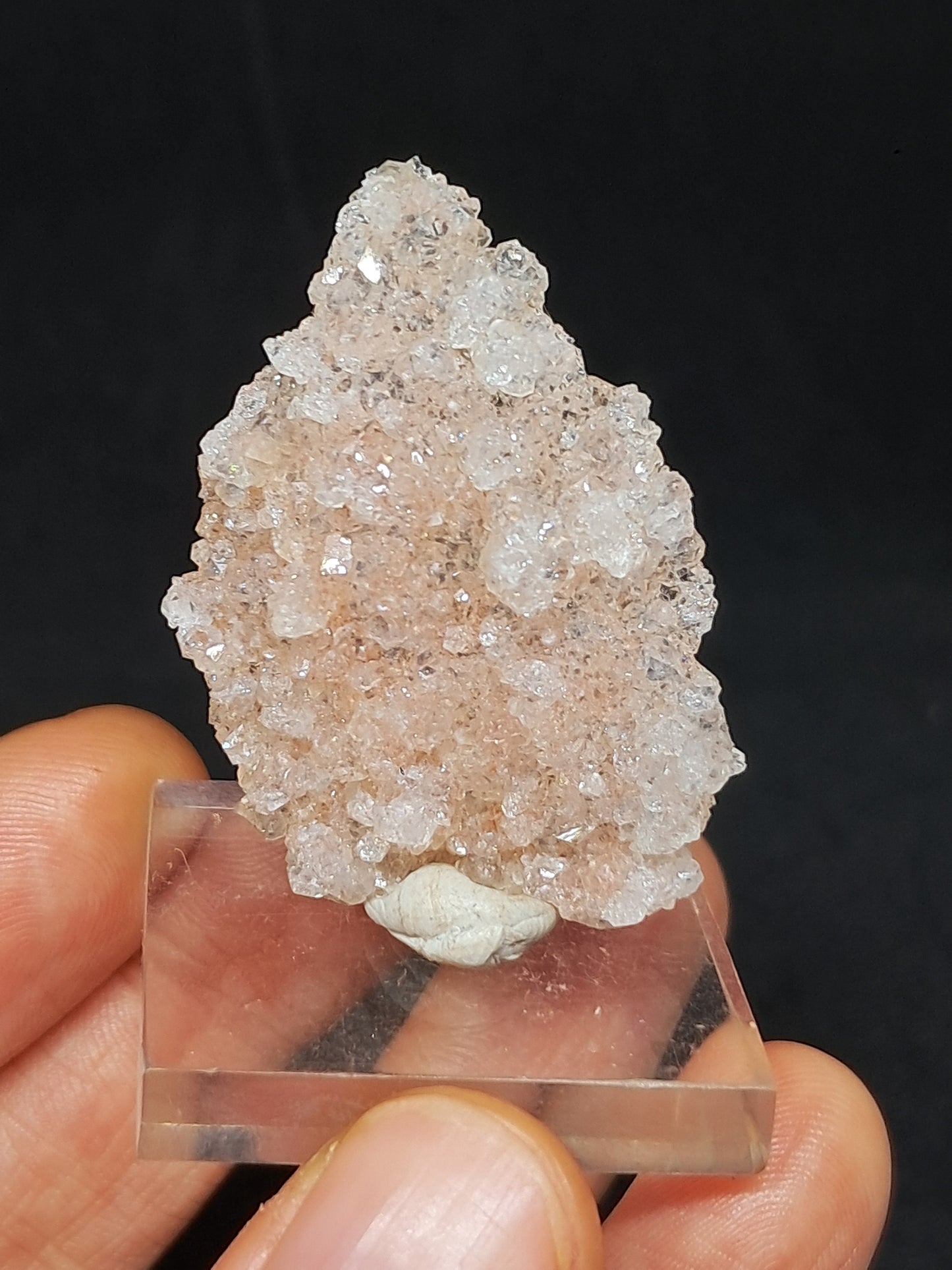 Pink Apophyllite On Quartz Floater Cluster (Ajanta) Natural Crystal | Mineral Specimen #APP1