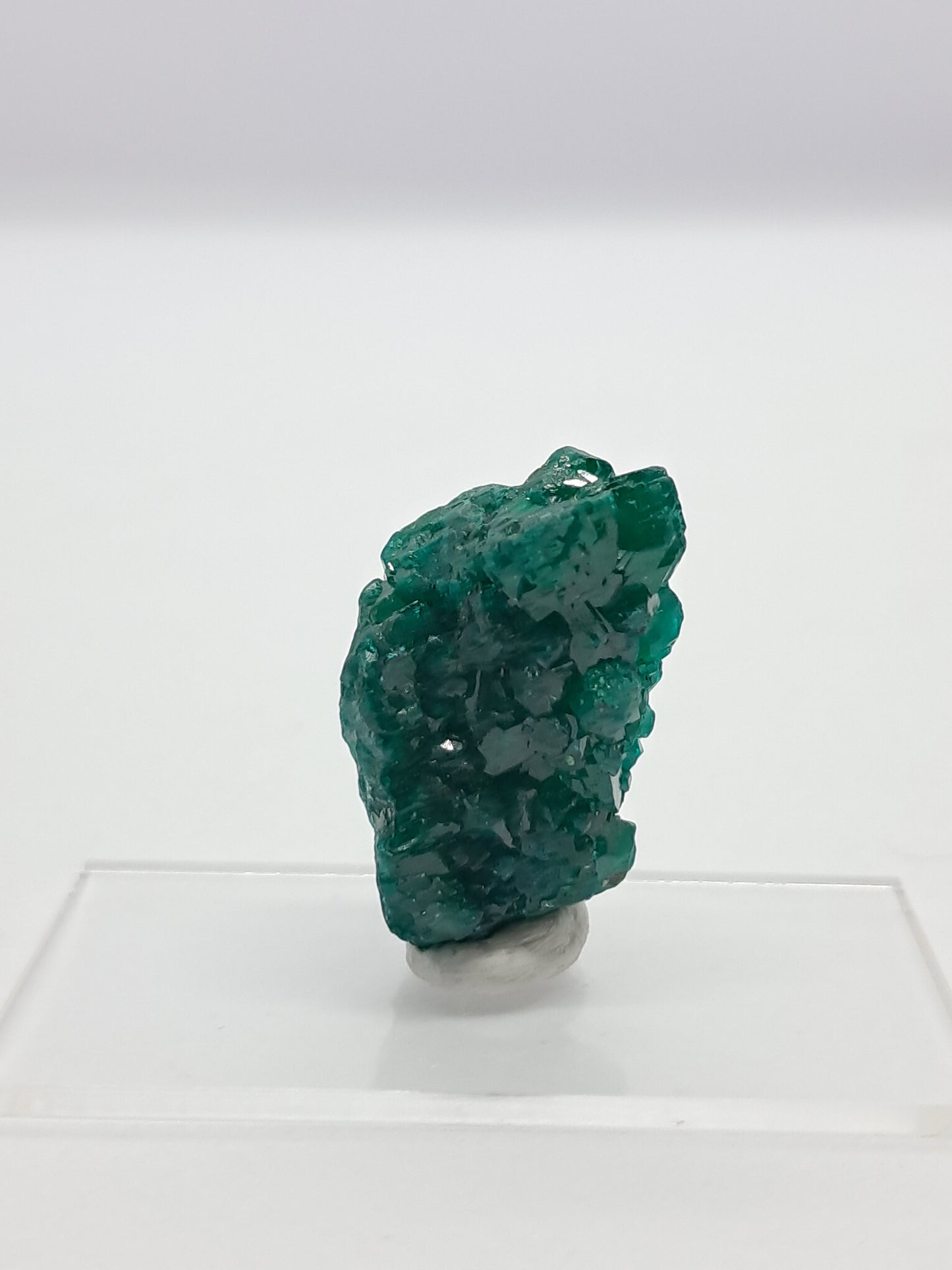 Dioptase (DRC) Natural Cluster | Rough Crystal | Mineral Specimen #DPT6