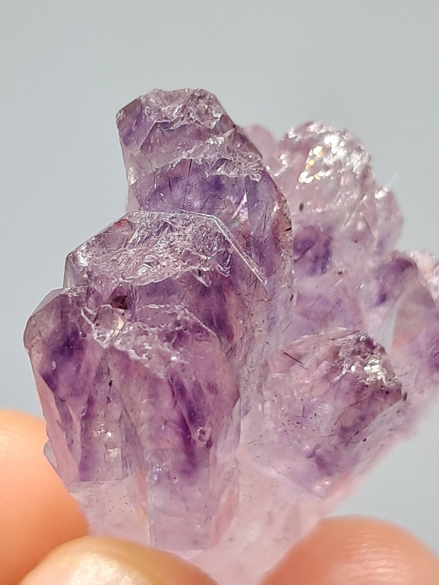 Cúmulo de cetro de amatista con rutilo y arcoíris (Karur) | Piedra natural | Ejemplar mineral n.° KA81