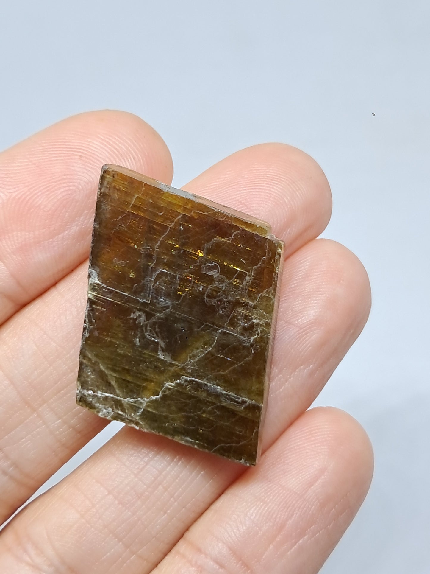 Honey Calcite (India) Rough Crystal | Natural Stone | Mineral Specimen #CA12