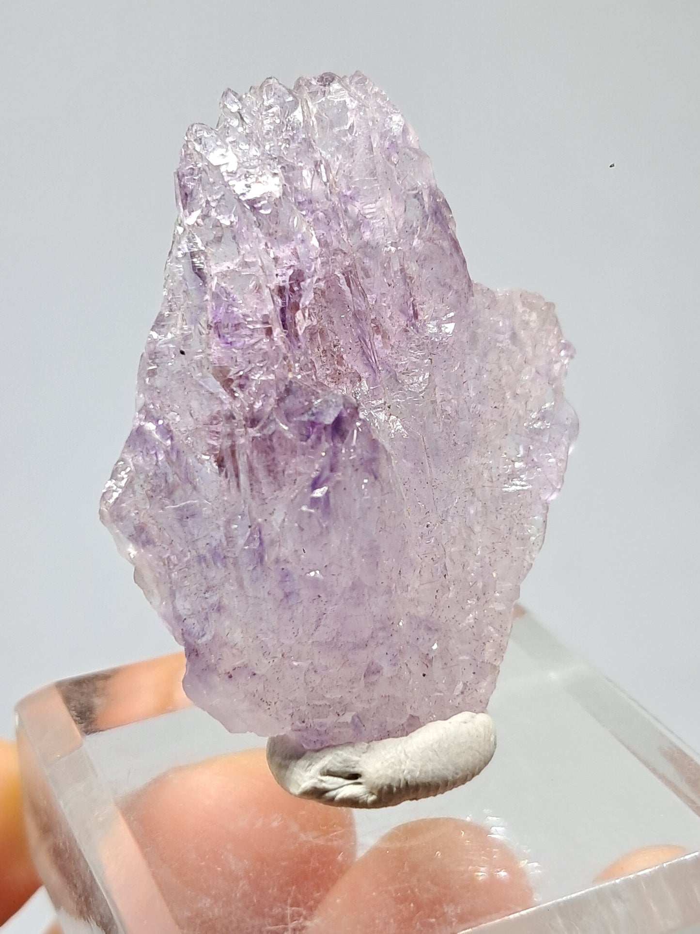 Amethyst Scepter Cluster w/ Goethite (Karur) Crystal Quartz Point | Natural Stone | Mineral Specimen #KA68