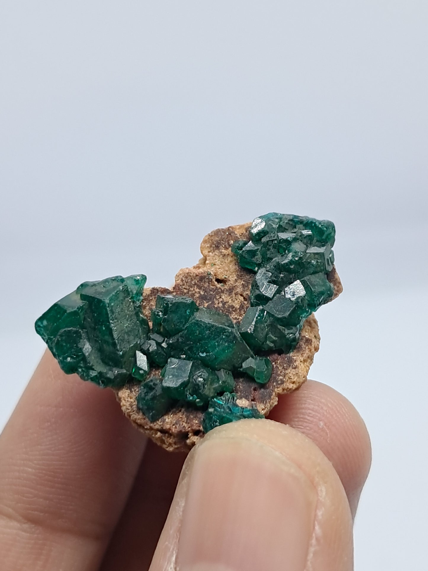 Dioptase on Matrix (Democratic Republic of Congo) Natural Cluster | Rough Crystal | Mineral Specimen) #DPT8