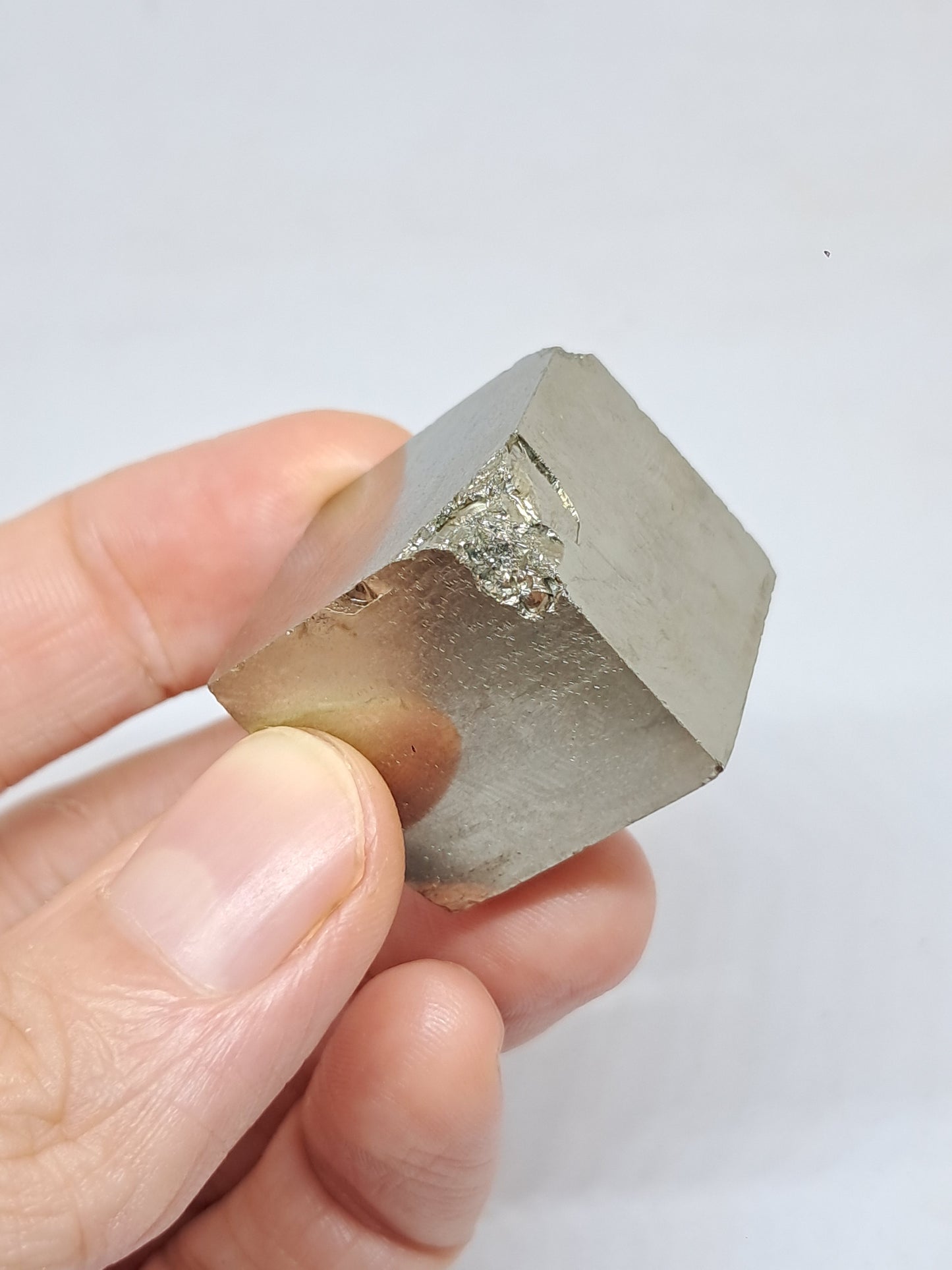 Pirita en bruto (España), cristal natural | Calidad de coleccionista n.° PR18