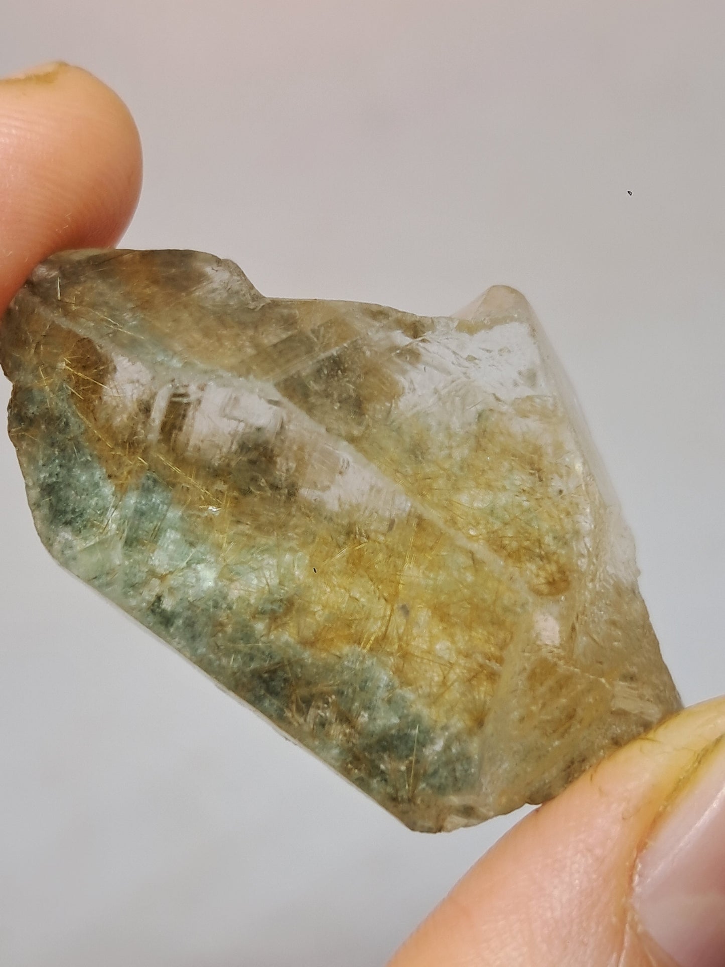 Quartz w/ Chlorite and Golden Rutile Inclusions (Himachal Pradesh) Rough Stone | Natural Crystal | Mineral Specimen #CH40