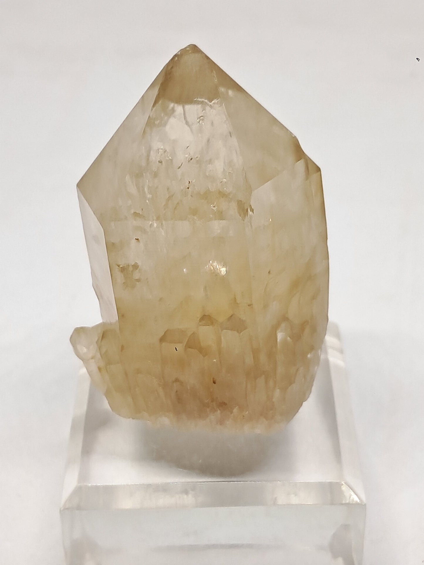 Natural Citrine "Kundalini" (Democratic Republic of Congo) Crystal Point | Mineral Specimen #CTN22