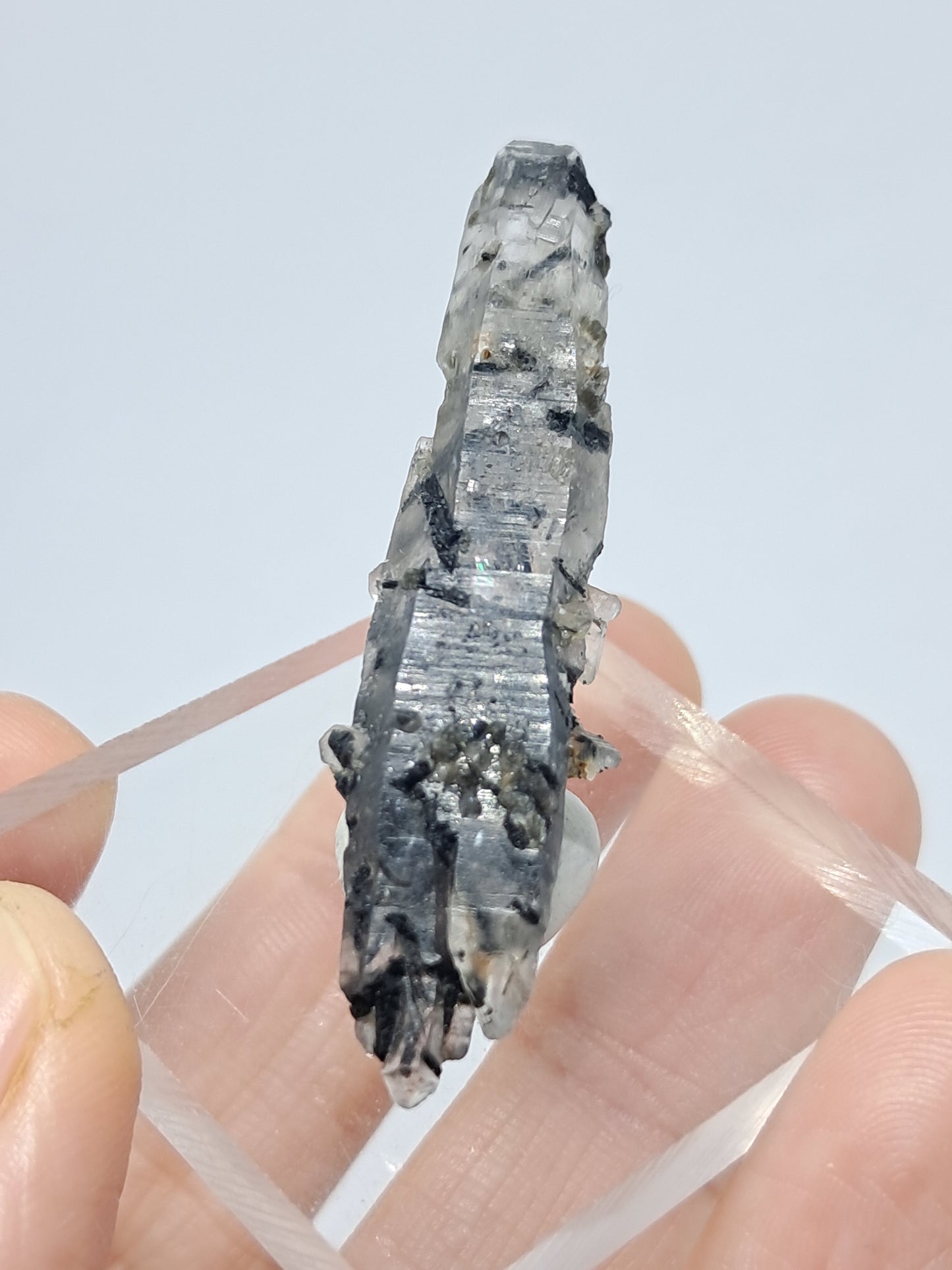 Tourmalinated Quartz natural crystal point (Non-precious natural stone) #TQ19