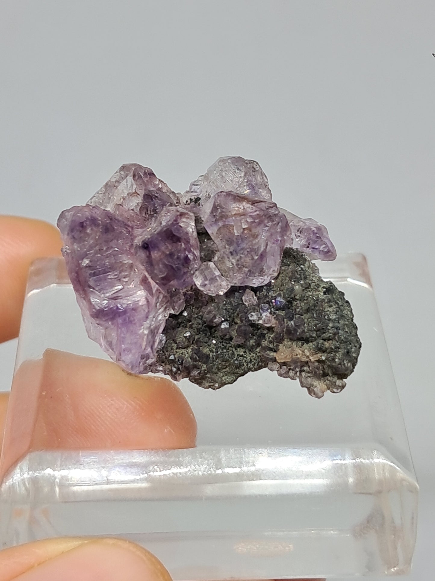 Amatista en matriz de limonita (Karur) | Cristal en bruto | Piedra natural | Ejemplar mineral n.° KA122