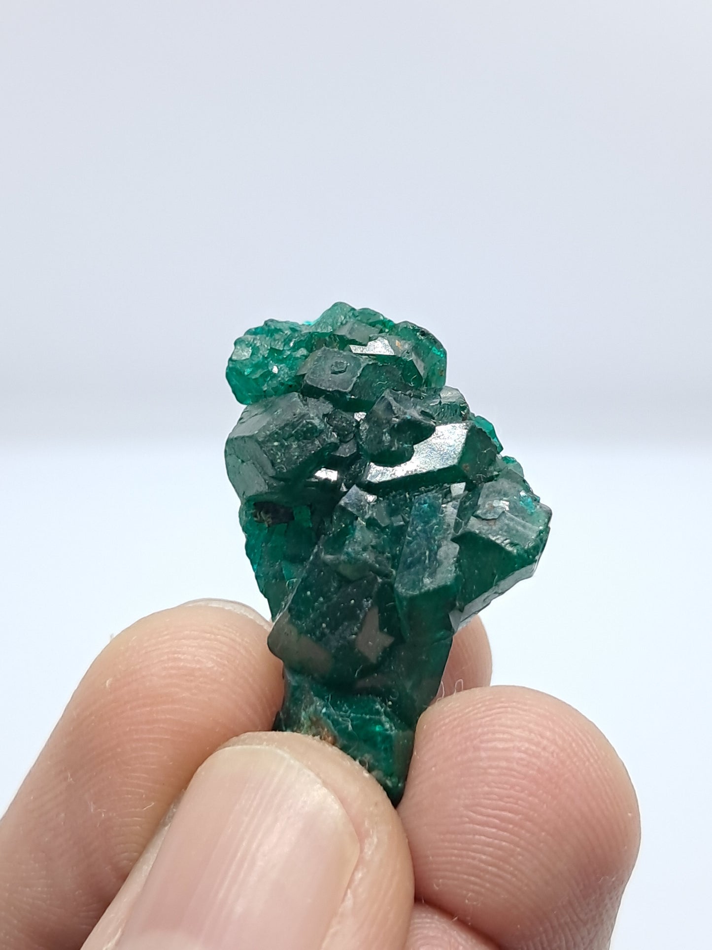 Dioptase (Non-precious Natural Stone) #DPT5