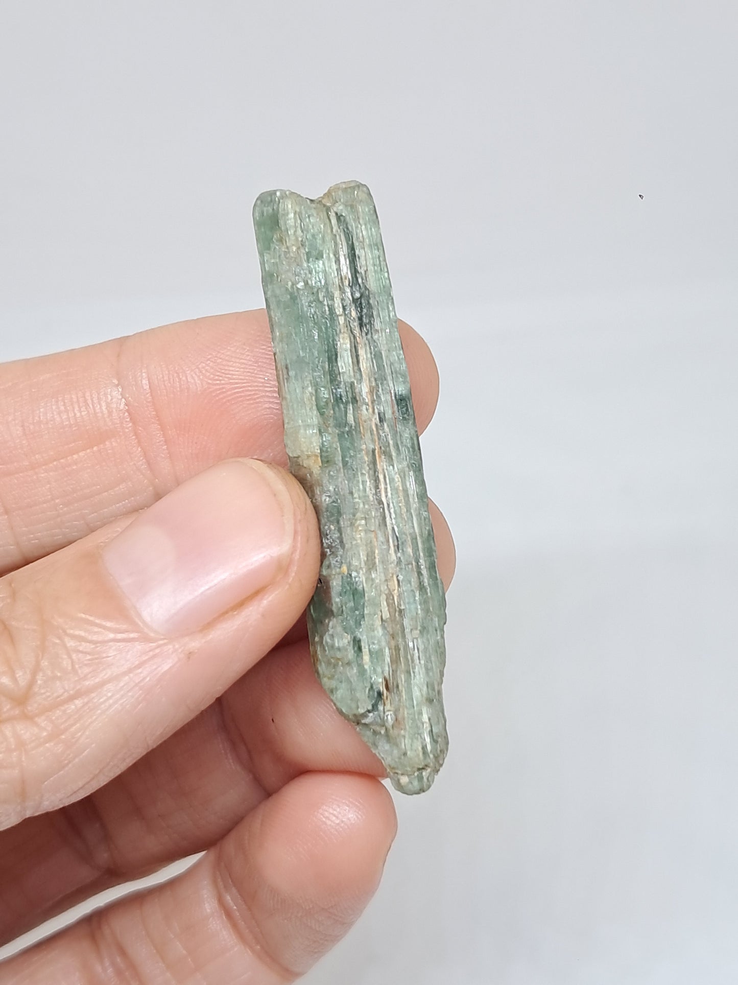 Green Kyanite (Tamil Nadu) Natural Stone #KY7