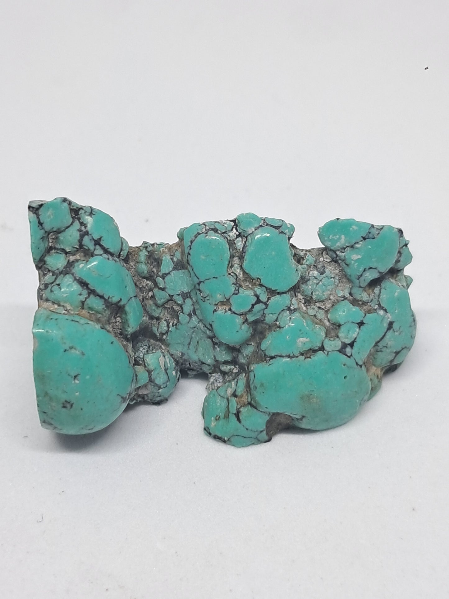 Tibetan Turquoise Stabilized Natural Stone | Mineral Specimen #TT9