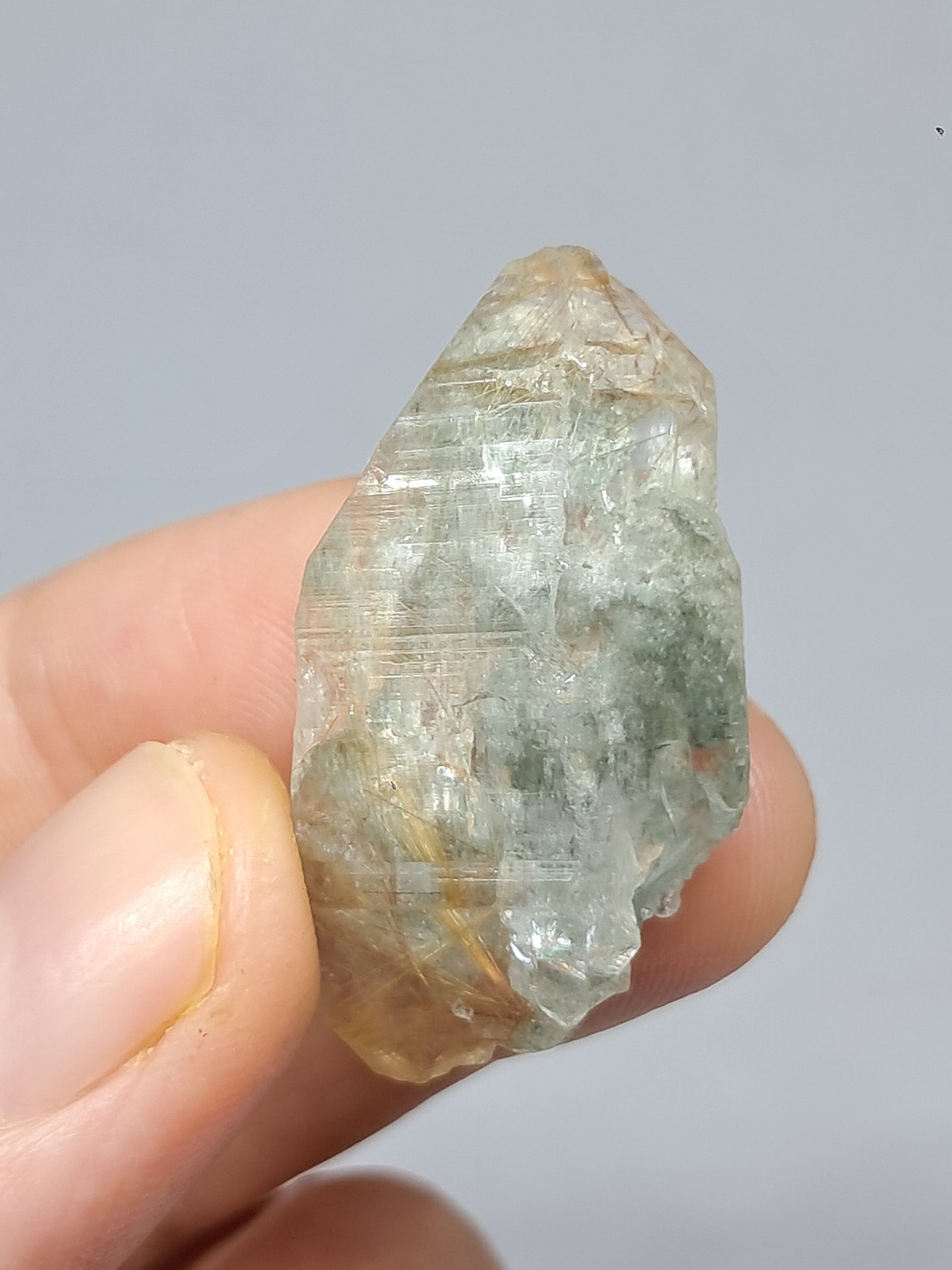 Quartz w/ Chlorite and Golden Rutile Inclusions (Kullu) Rough Stone | Natural Crystal Point | Mineral Specimen #CH46