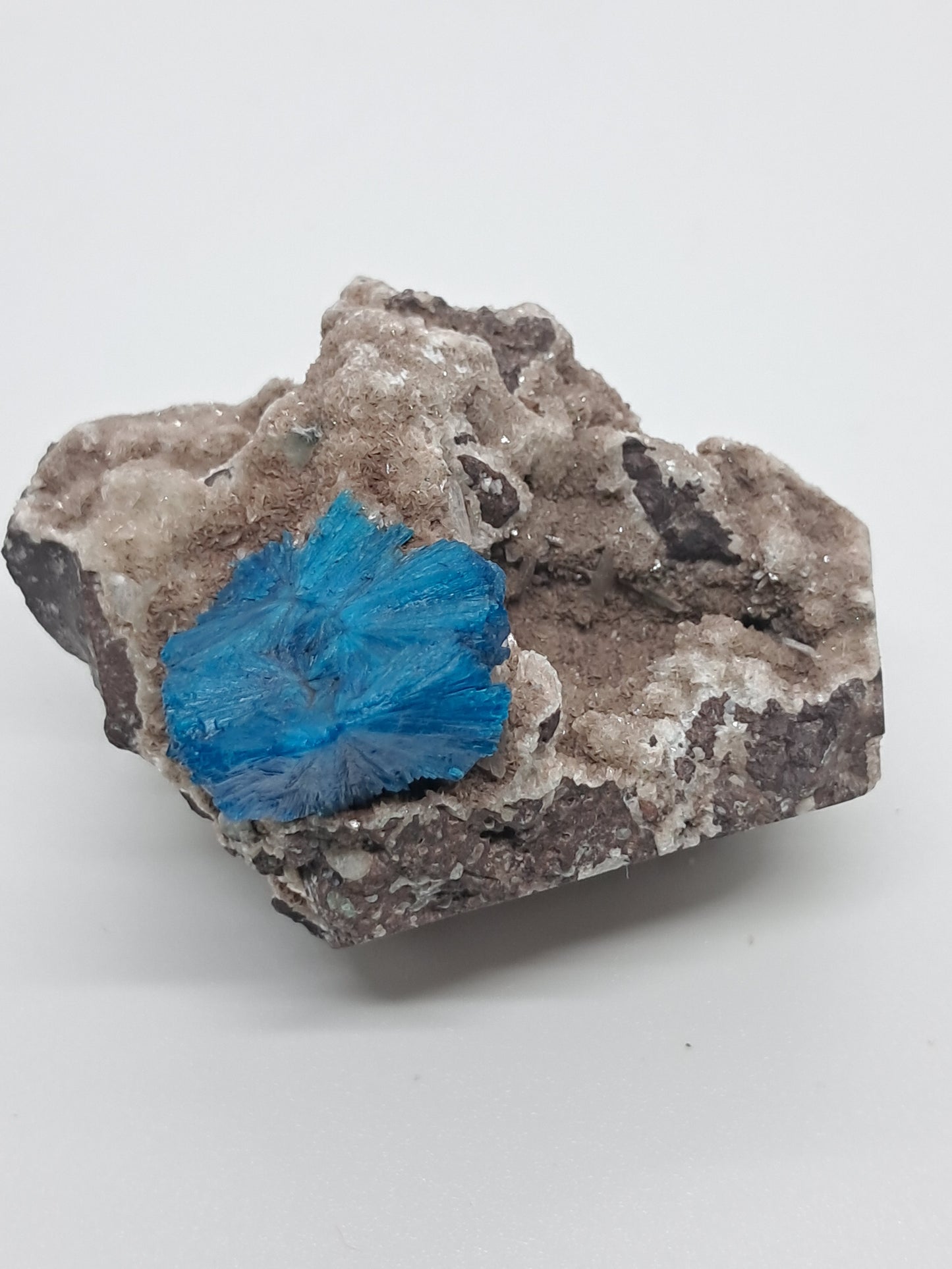 Cavansite on Heulandite Matrix (Wagholi) Rough Stone | Natural Crystal | Rare Mineral Specimen #CV32