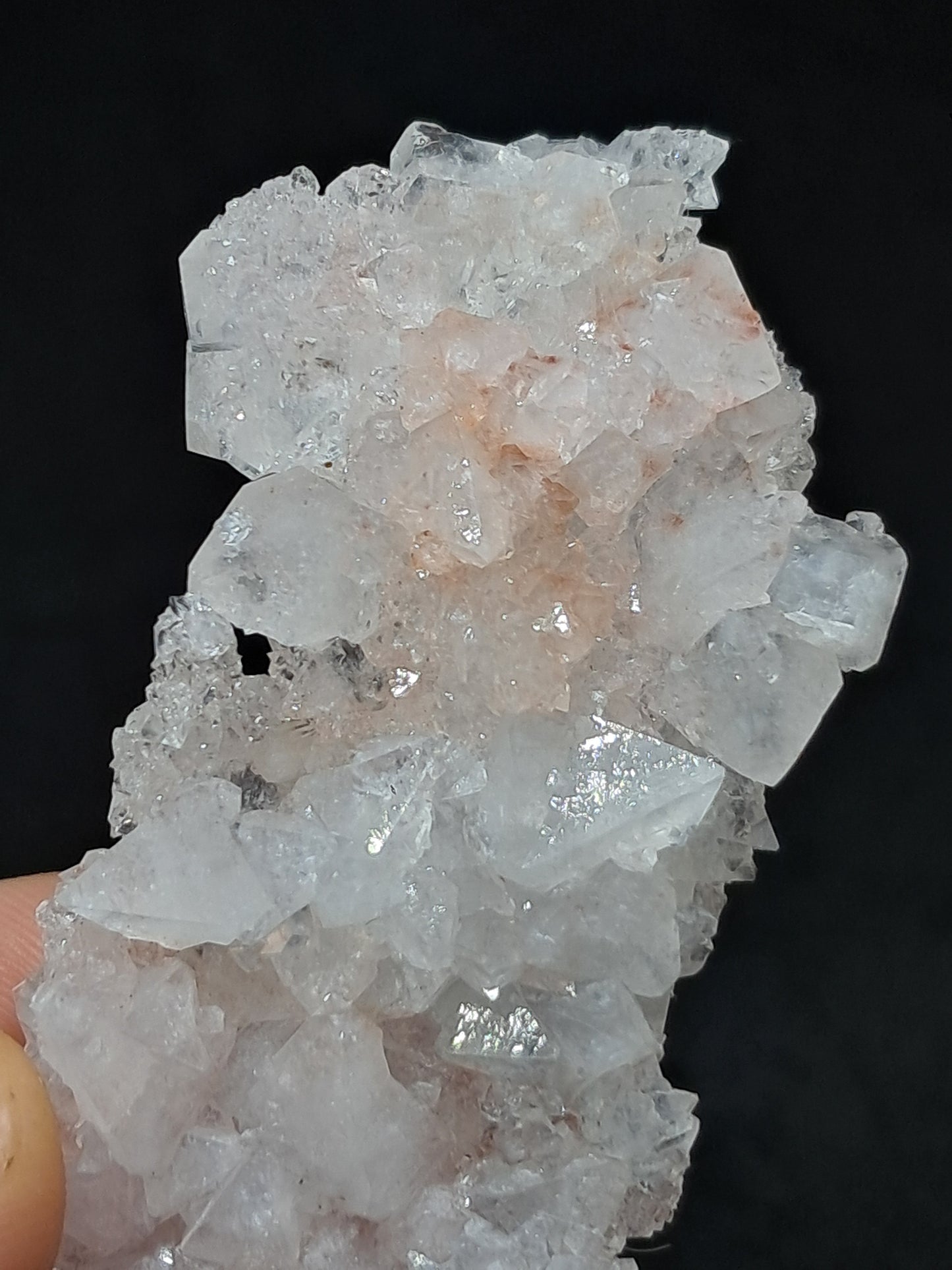 Octahedral Apophyllite Floater Cluster w/ Hematite (Ajanta) Natural Crystal | Mineral Specimen #AP33