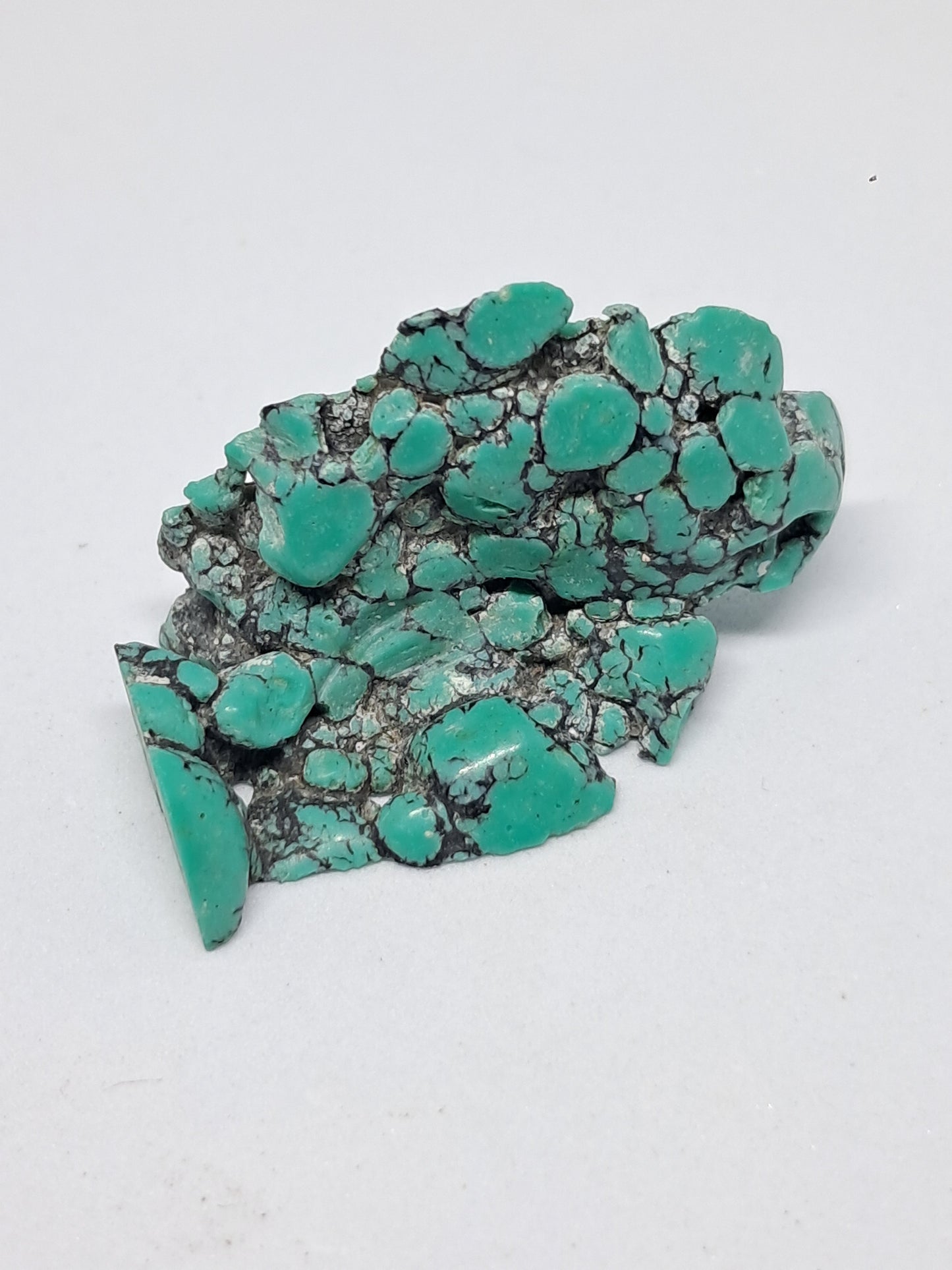 Tibetan Turquoise Stabilized Natural Stone | Mineral Specimen #TT4