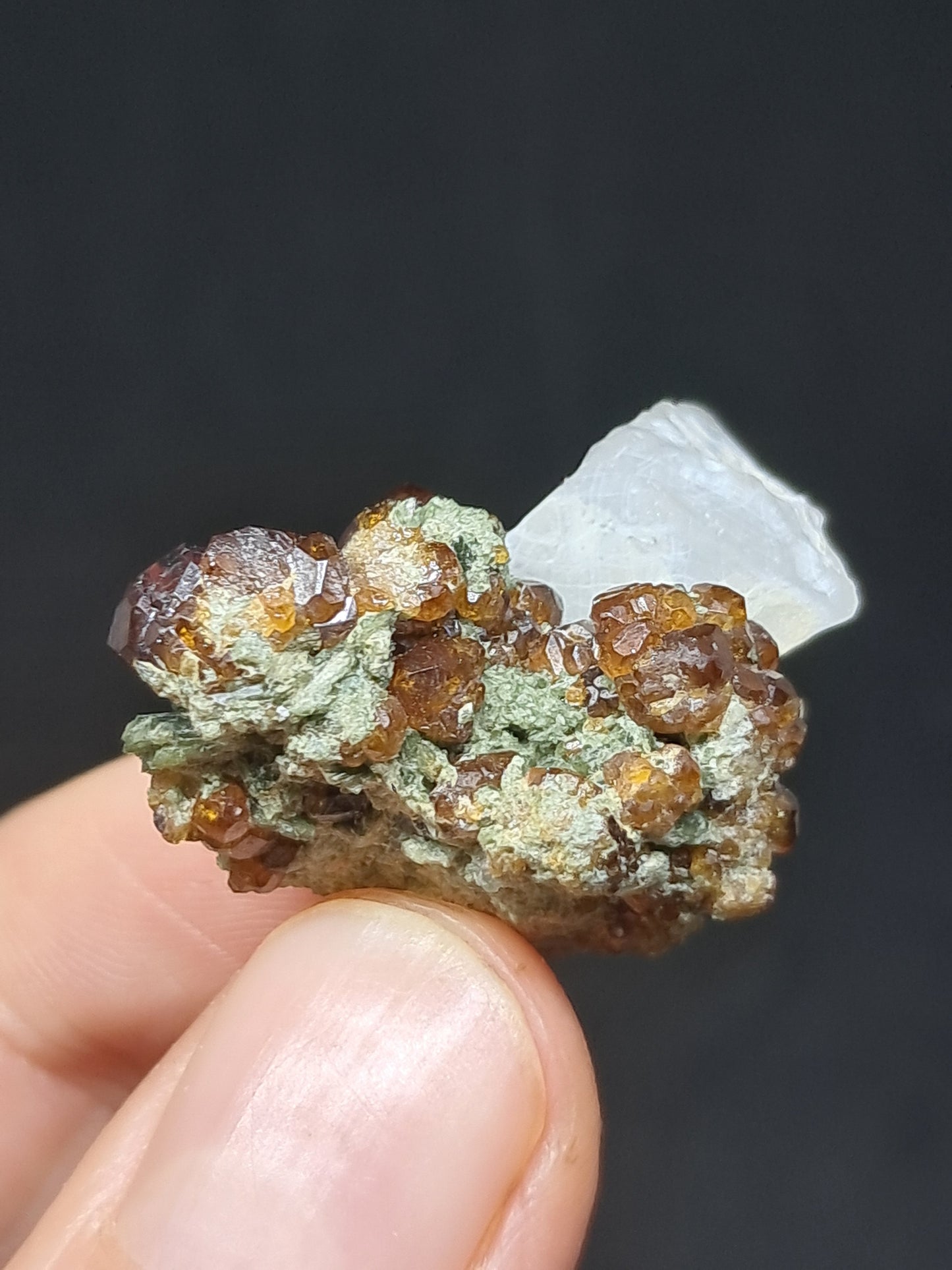 Granate Marrón con Calcita (México) | Cristal en Bruto | Ejemplar Mineral #GR5