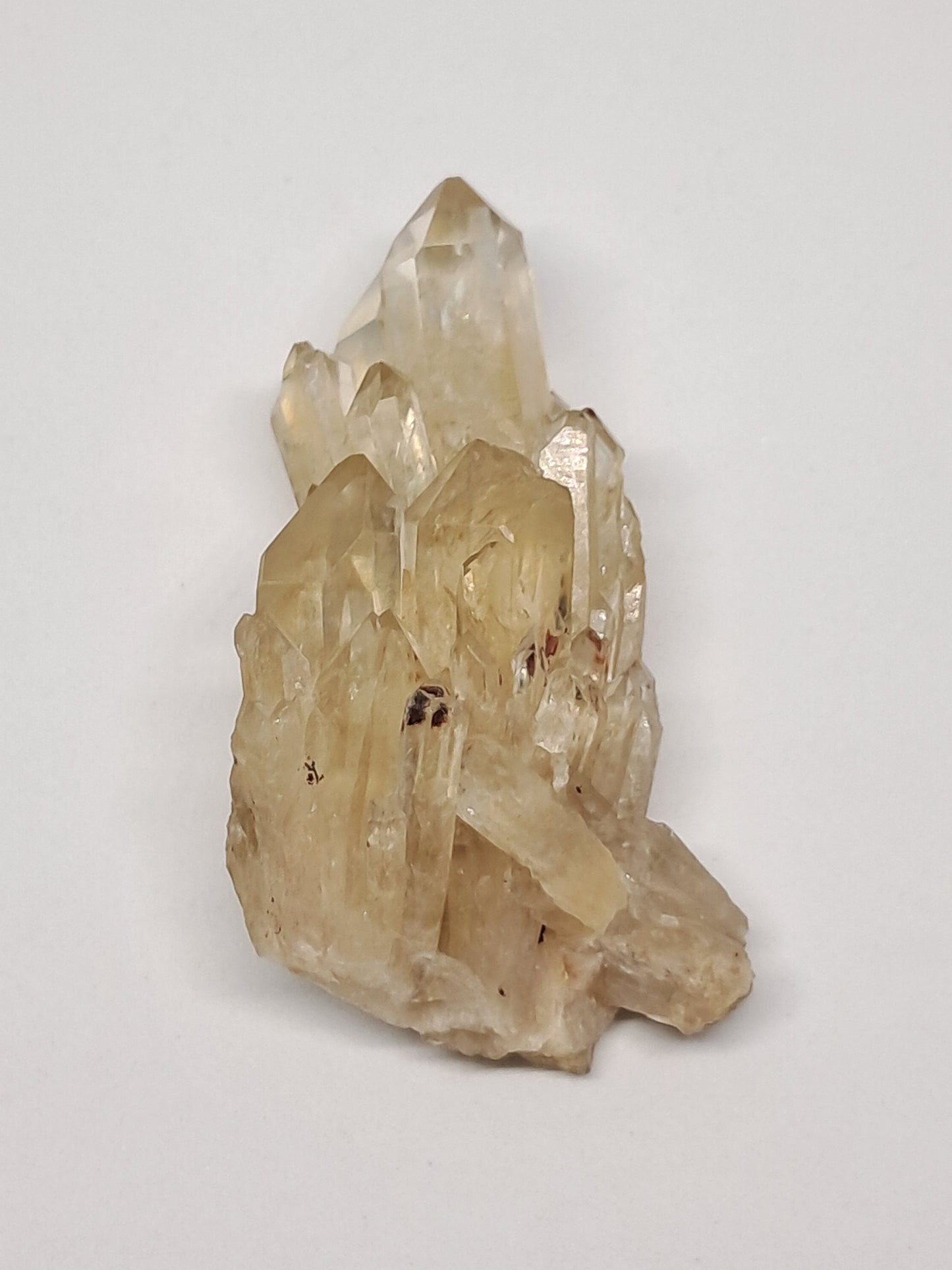 Natural Citrine "Kundalini" (Democratic Republic of Congo) Crystal Point | Mineral Specimen #CTN9
