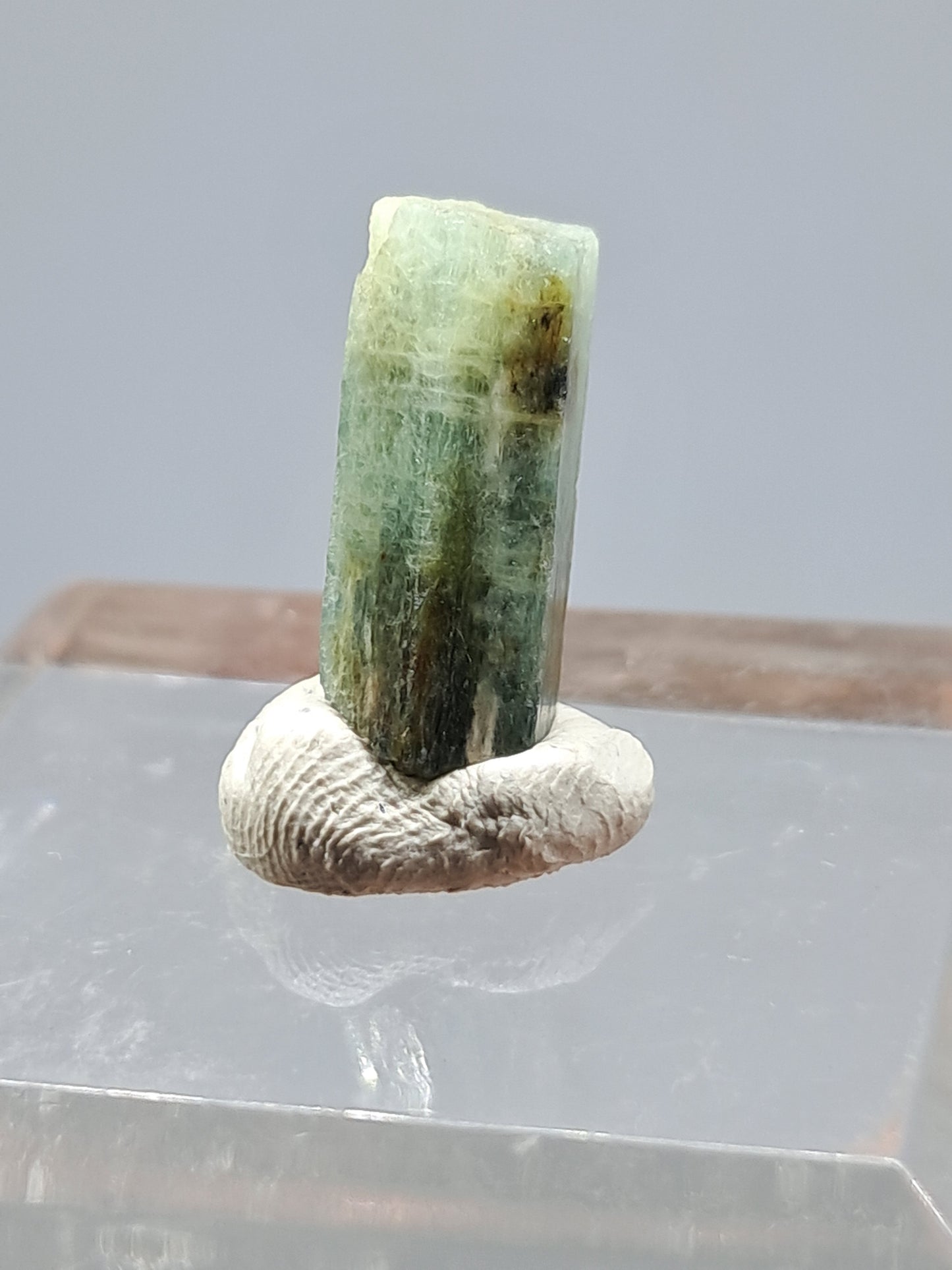 Aguamarina (Karur) Cristal hexagonal en bruto | Ejemplar mineral n.° AQM21