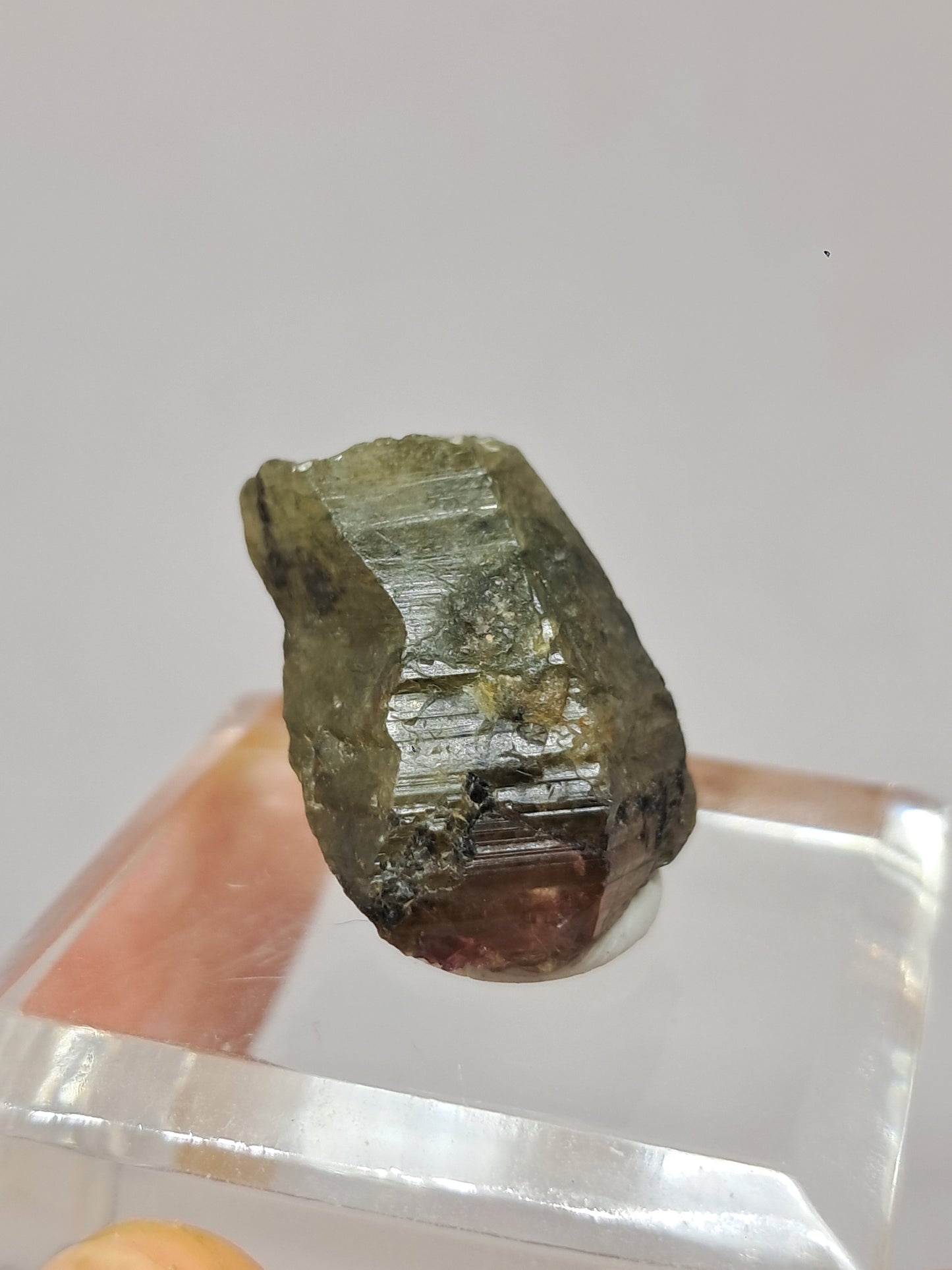 Natural Green Pink Sapphire Crystal (Karur) Rough Stone | Bicolor | Mineral Specimen #SP33
