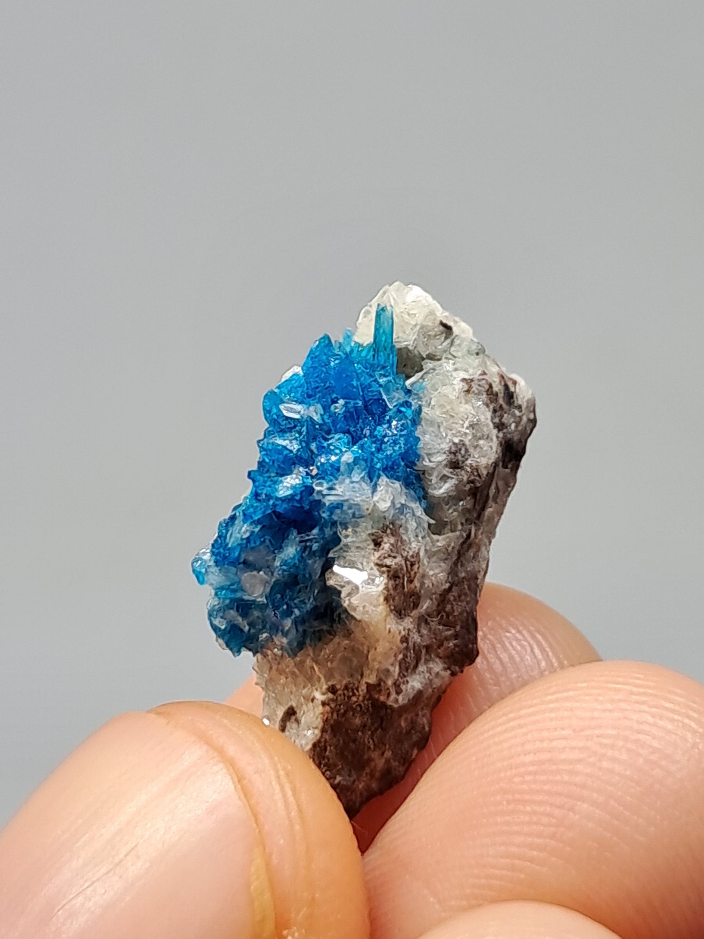 Set of Cavansite & Pentagonite on Matrix (Wagholi) Rough Stone | Natural Crystal | Rare Mineral Specimen #CV40