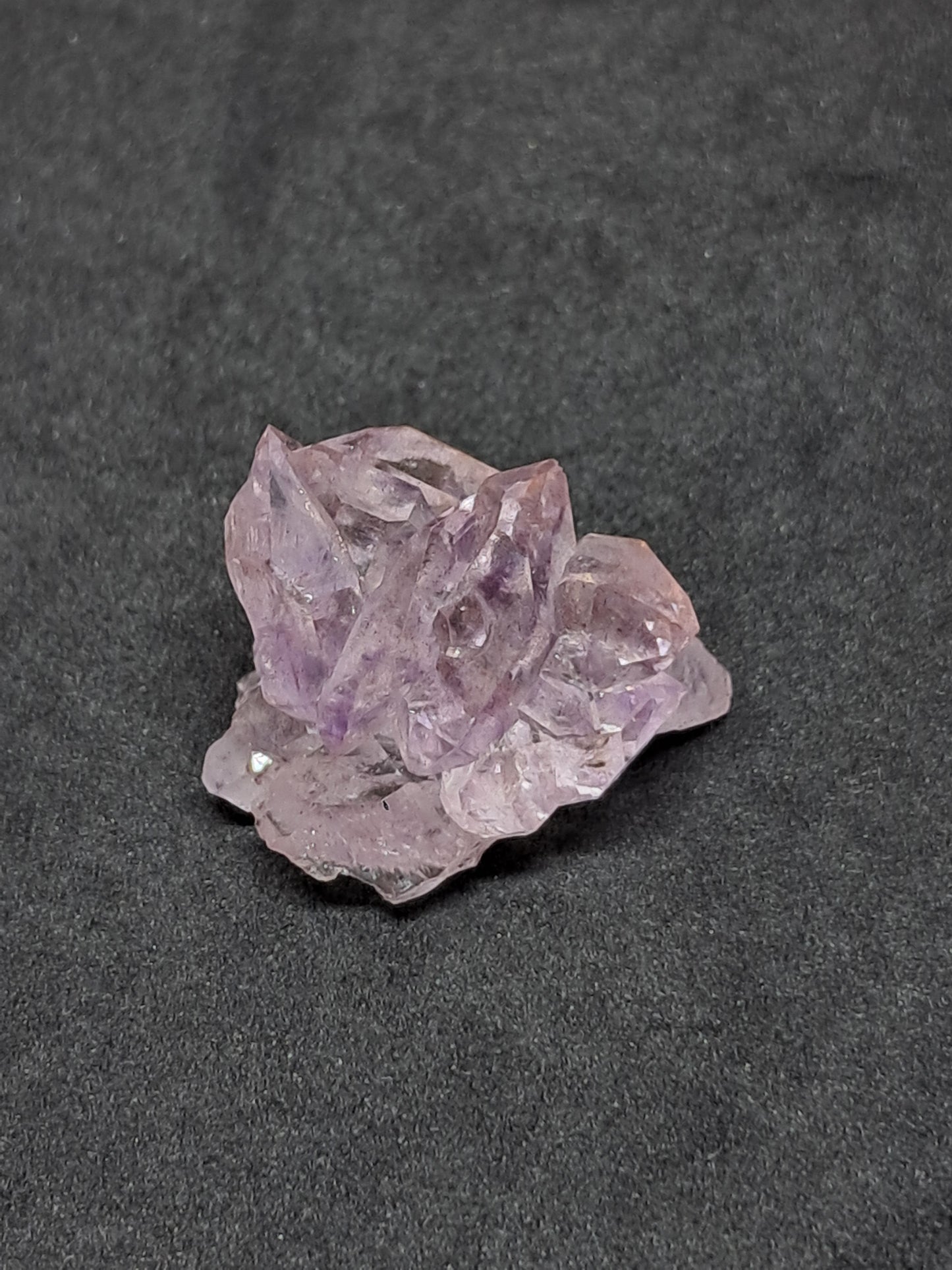 Amatista Brillante en Cetro (Karur) | Cristal en Bruto | Piedra Natural | Ejemplar Mineral #KA151