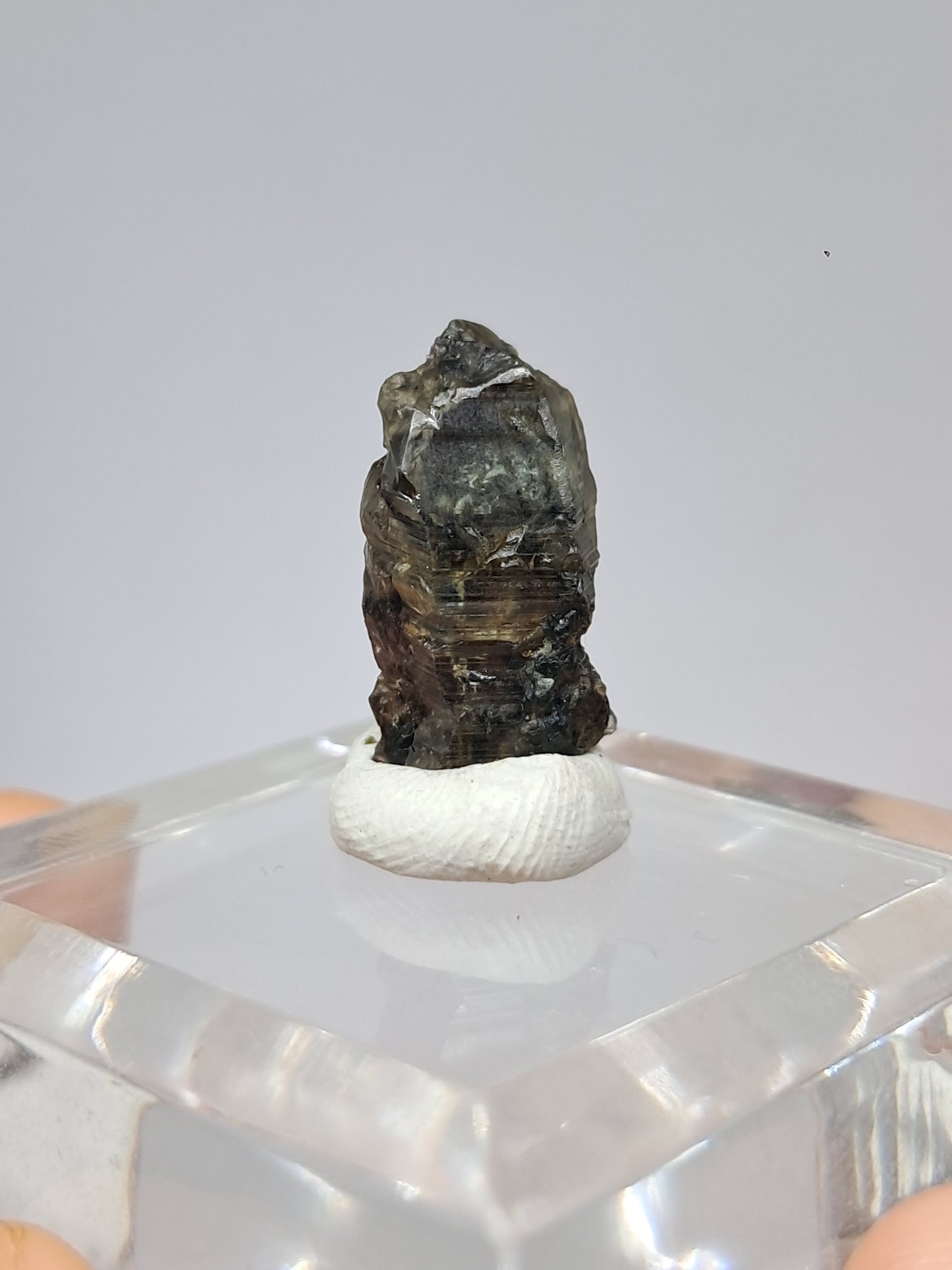 Natural Green Sapphire Crystal (Karur) Rough Stone | Mineral Specimen #SP32