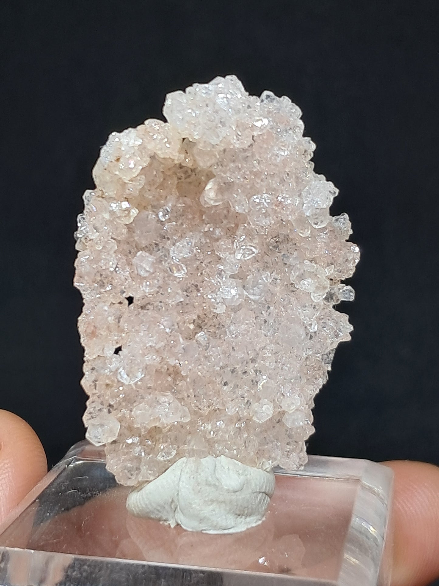 Pink Apophyllite On Quartz Floater Cluster (Ajanta) Natural Crystal | Mineral Specimen #APP3