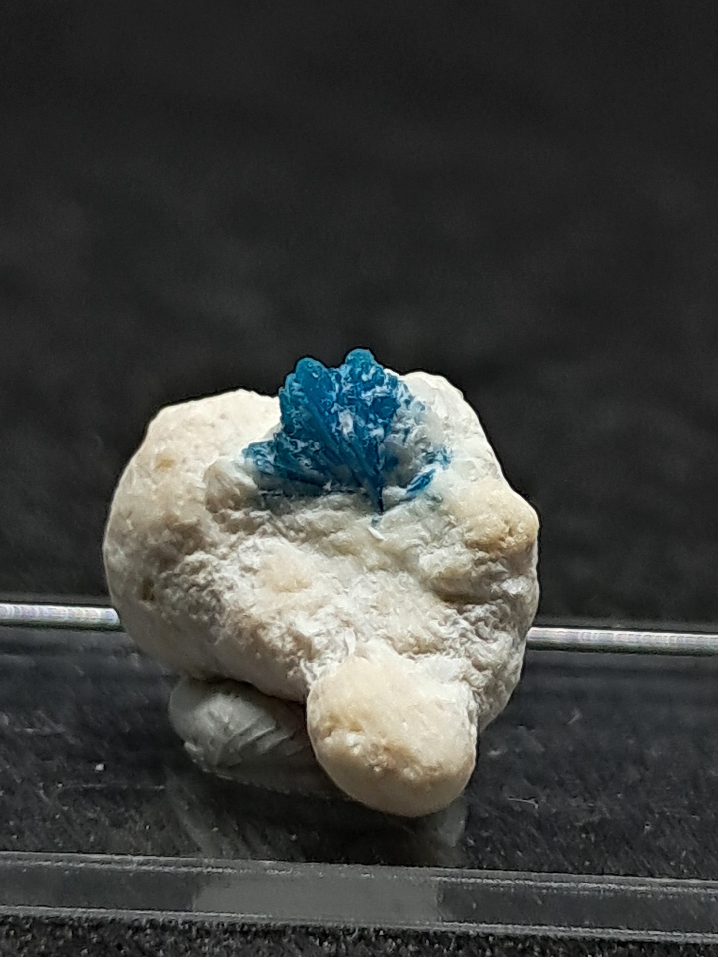 Floater Cavansite in Okenite Ball (Pune) Rough Stone | Natural Crystal | Rare Mineral Specimen #CV24