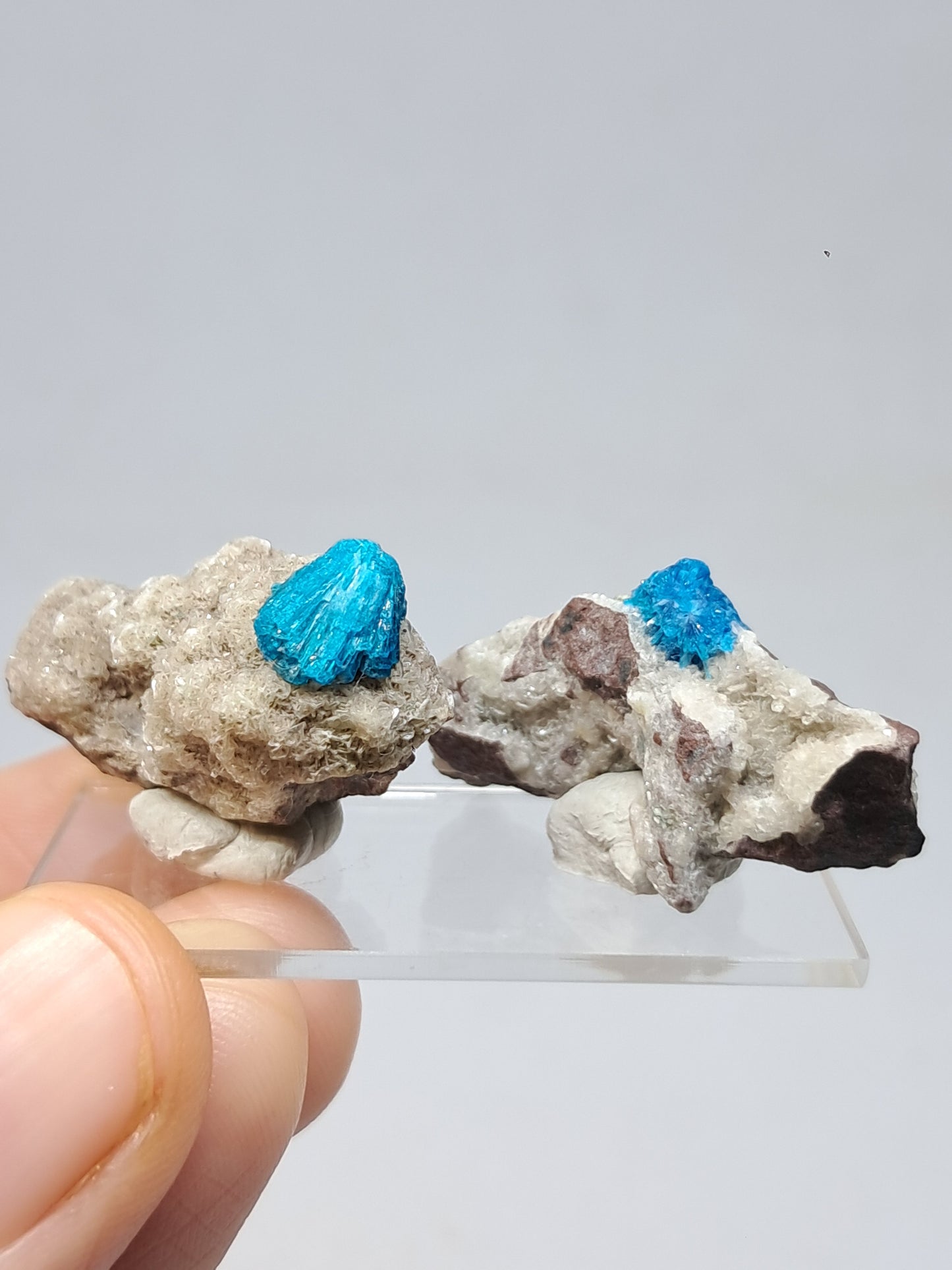 Set of Cavansite & Pentagonite on Matrix (Wagholi) Rough Stone | Natural Crystal | Rare Mineral Specimen #CV42