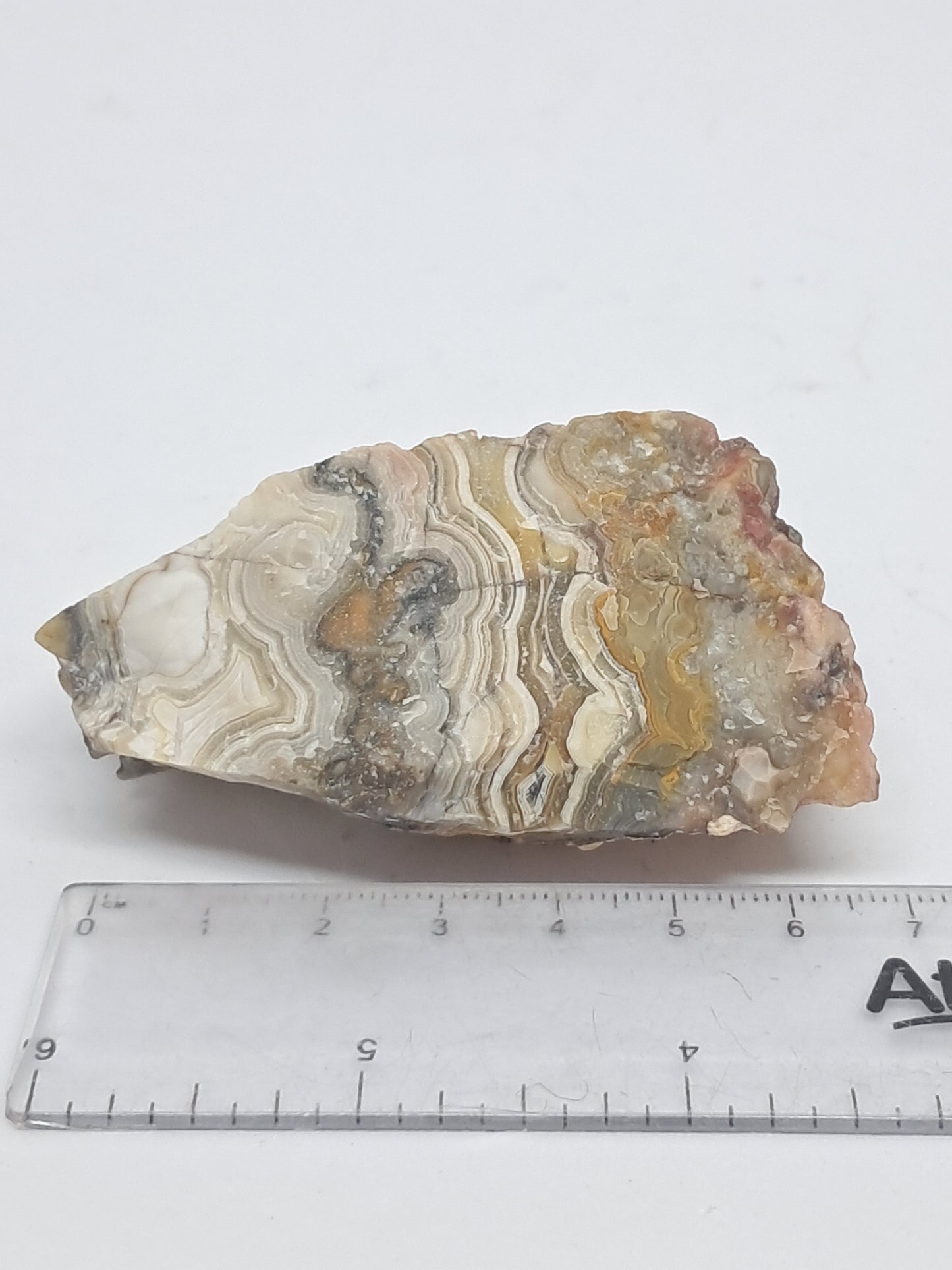 Crazy Lace Agate Rough | Natural Stone | Mineral Specimen #CLA1