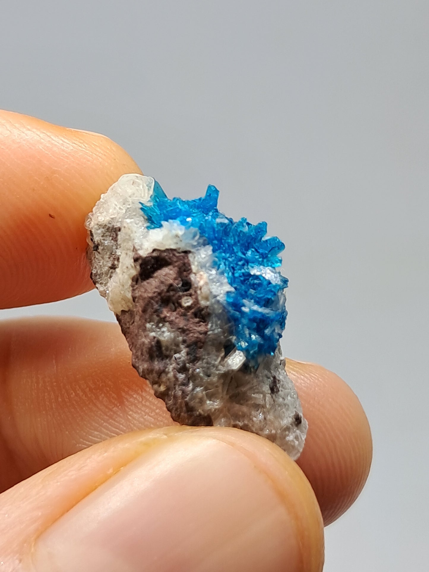 Set of Cavansite & Pentagonite on Matrix (Wagholi) Rough Stone | Natural Crystal | Rare Mineral Specimen #CV40