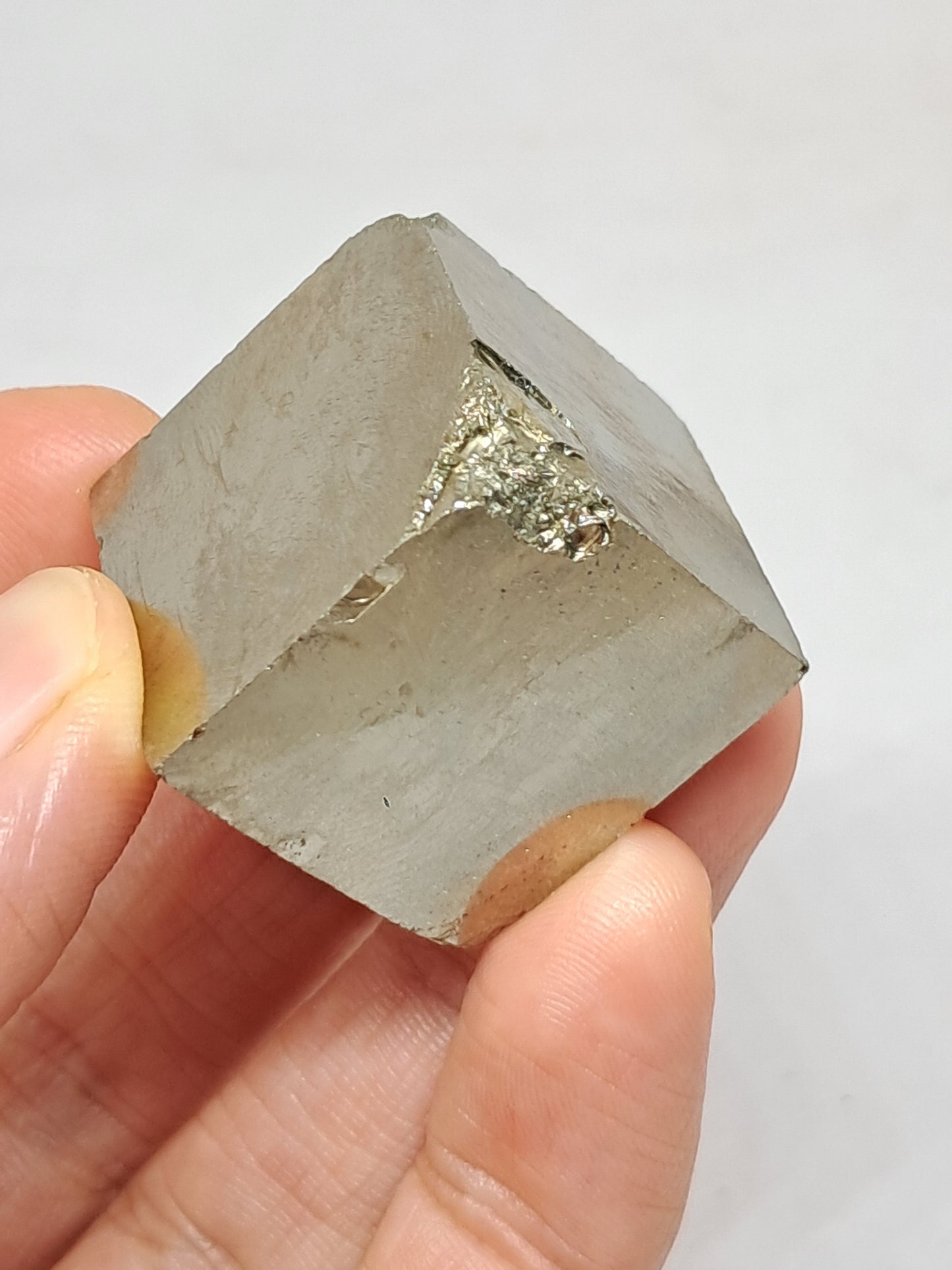 Pirita en bruto (España), cristal natural | Calidad de coleccionista n.° PR18