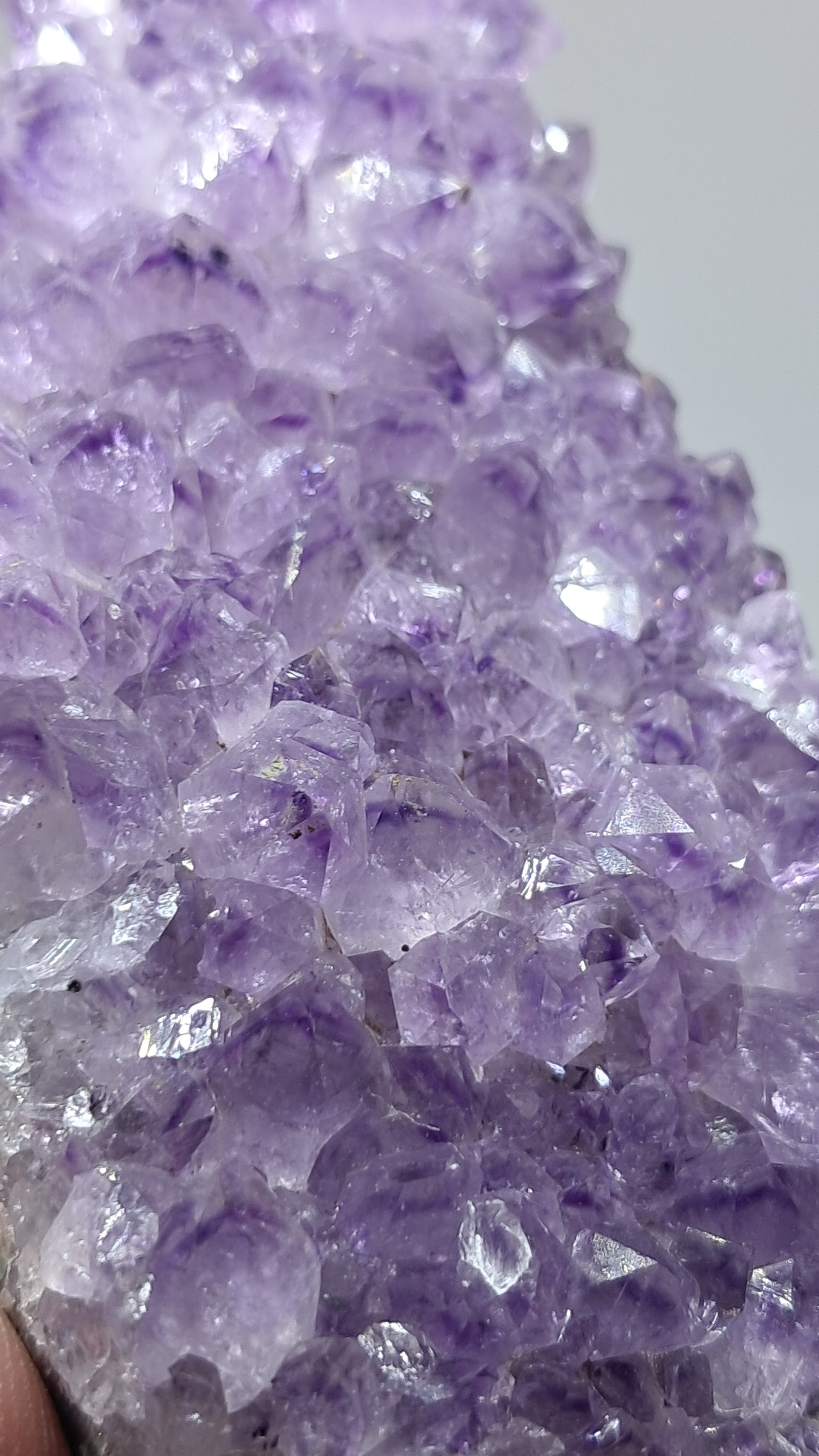 Deep Purple Amethyst (Brazil) | Natural Cluster | Mineral Specimen #AMB12