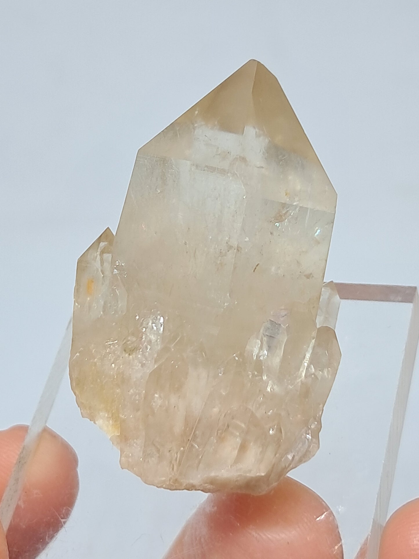 Natural Citrine "Kundalini" (Democratic Republic of Congo) Crystal Point | Mineral Specimen #CTN12
