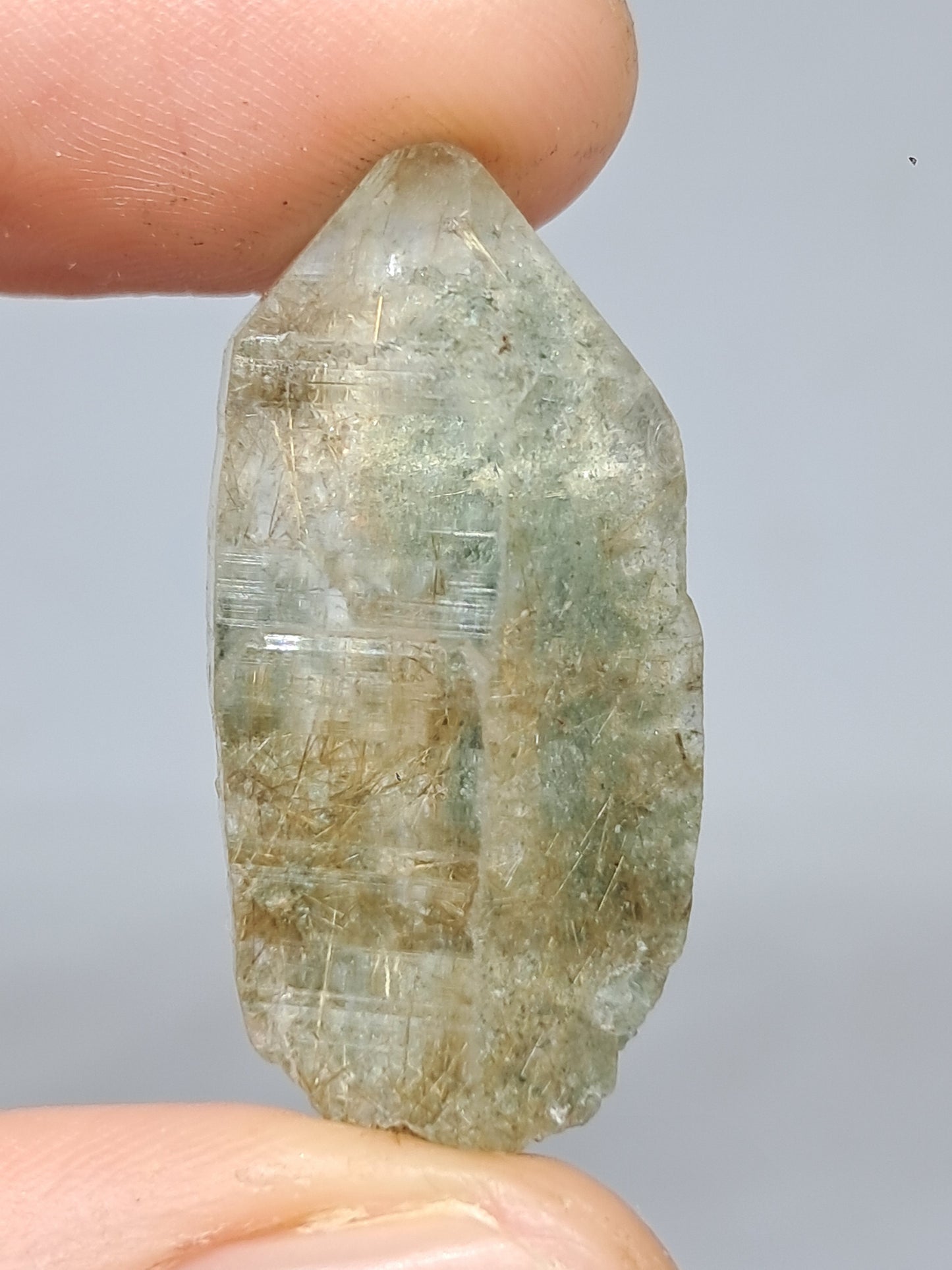 Quartz w/ Chlorite and Golden Rutile Inclusions (Kullu) Rough Stone | Natural Crystal Point | Mineral Specimen #CH47
