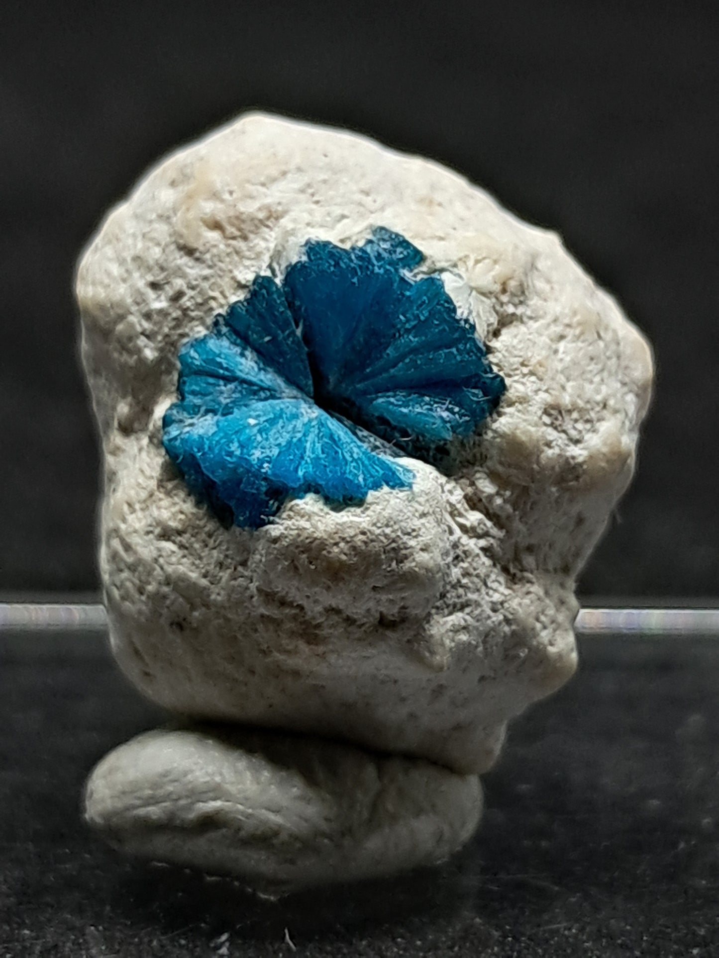 Floater Cavansite in Small Okenite Ball #CV21