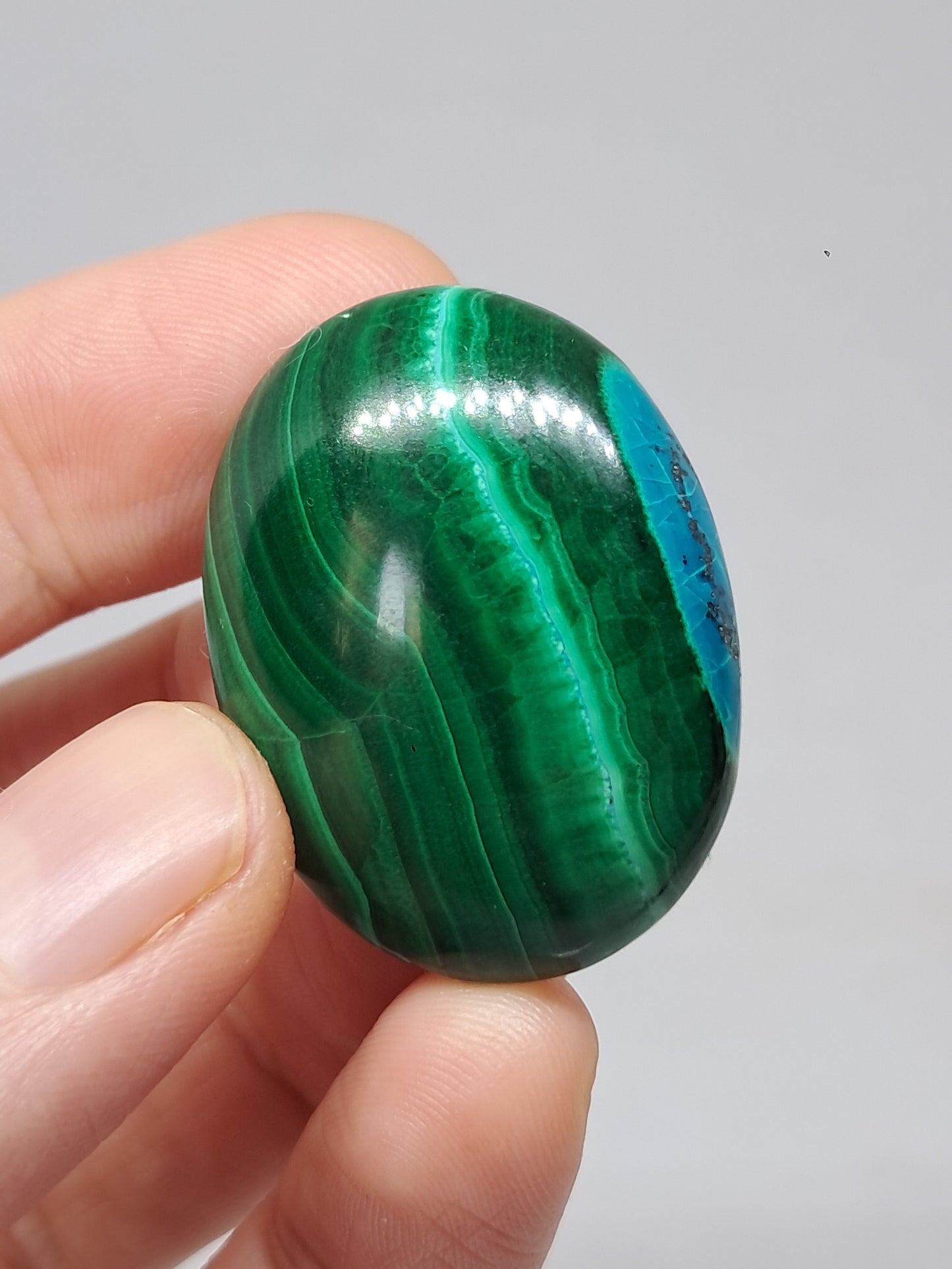 Chrysocolla Malachite Palmstone (Democratic Republic of Congo) Polished Natural Stone
