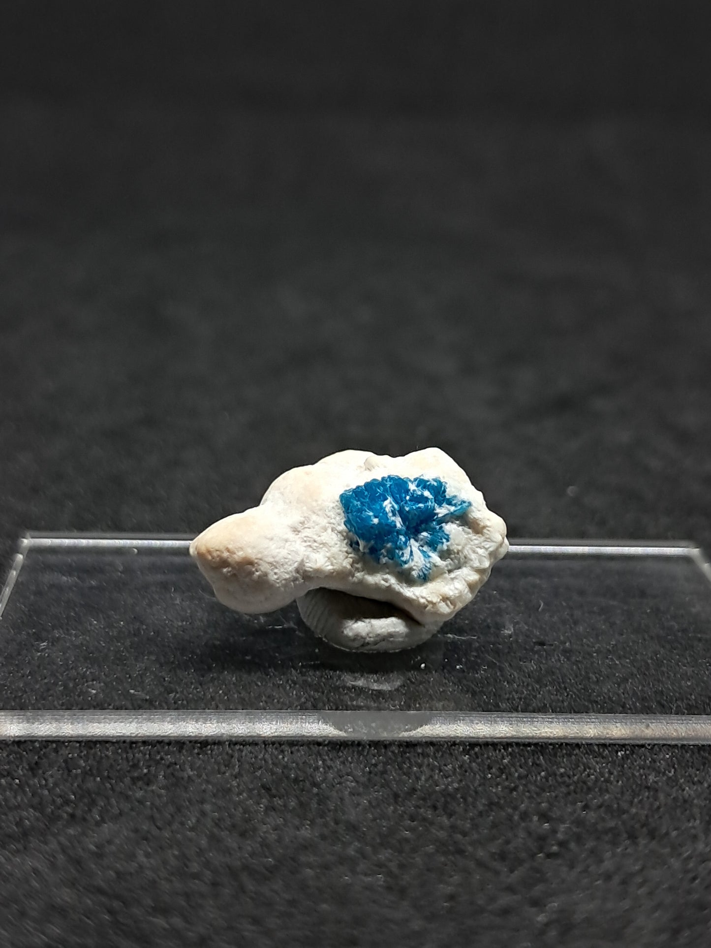 Floater Cavansite in Okenite Ball (Pune) Rough Stone | Natural Crystal | Rare Mineral Specimen #CV23