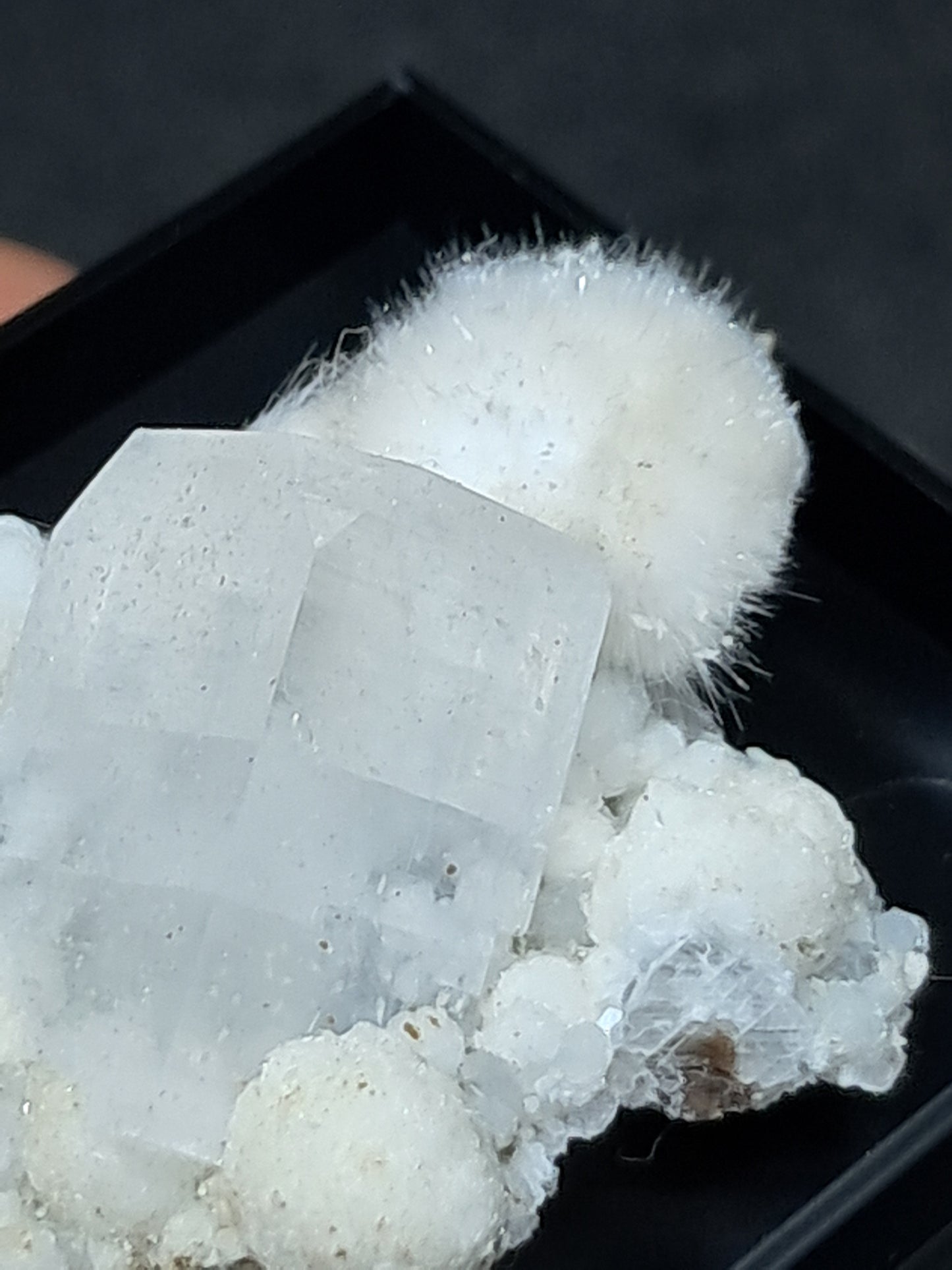 Okenite and Apophyllite on Gyrolite Matrix (Mumbai) Mineral Specimen | Collector Grade | Natural Crystal #OK6