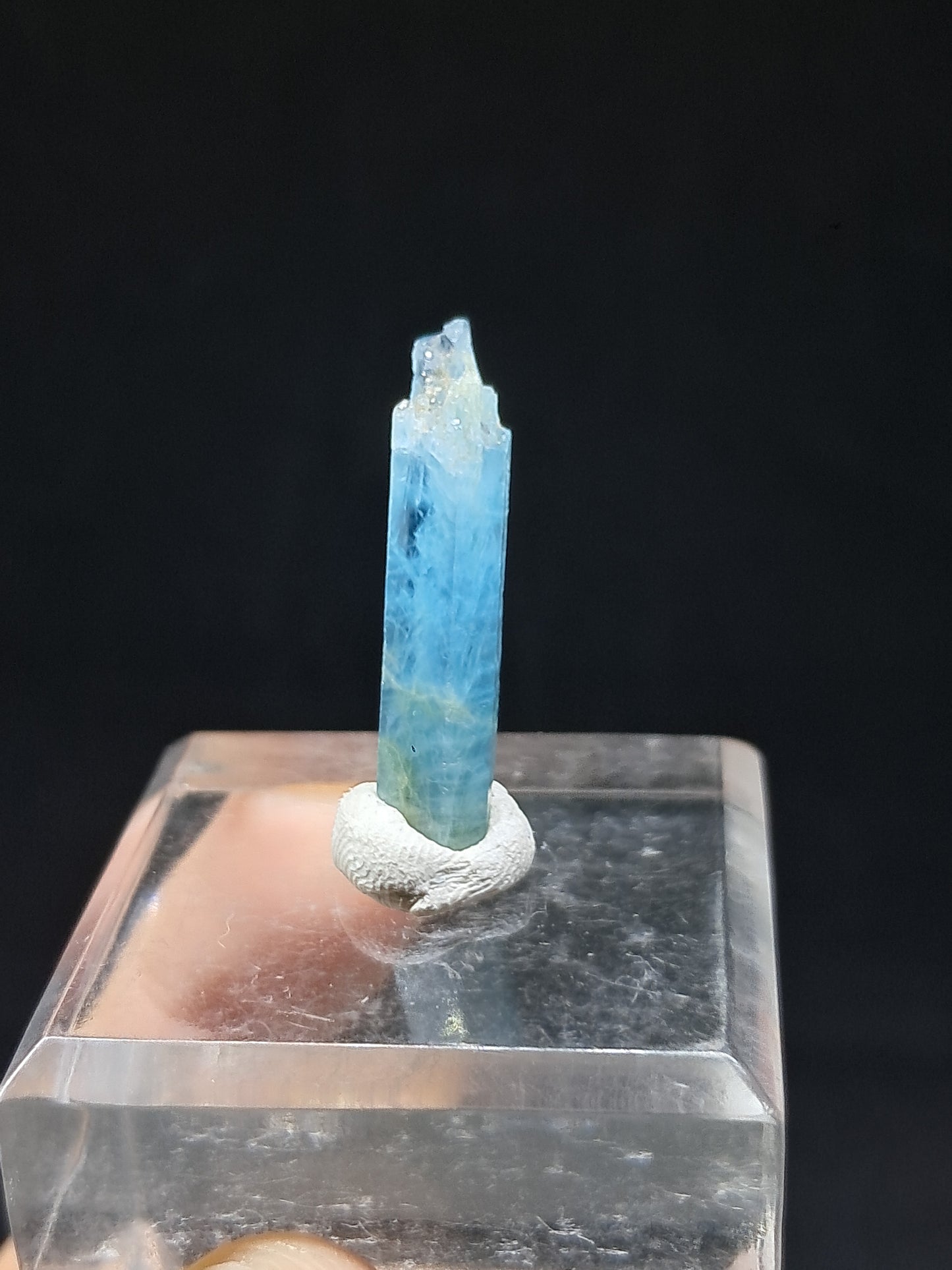 Aguamarina de alta calidad (Karur) en bruto, cristal hexagonal | Ejemplar mineral n.° AQM18