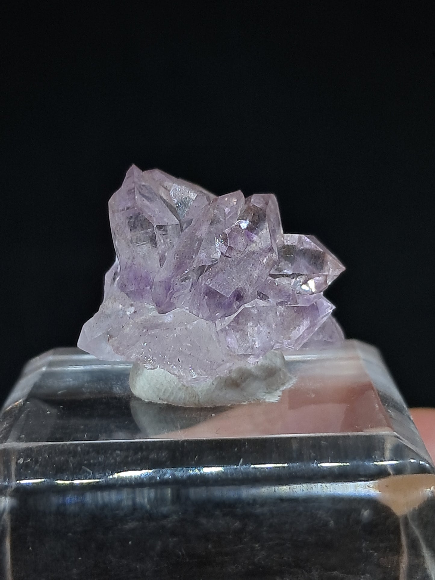 Amatista Brillante en Cetro (Karur) | Cristal en Bruto | Piedra Natural | Ejemplar Mineral #KA151